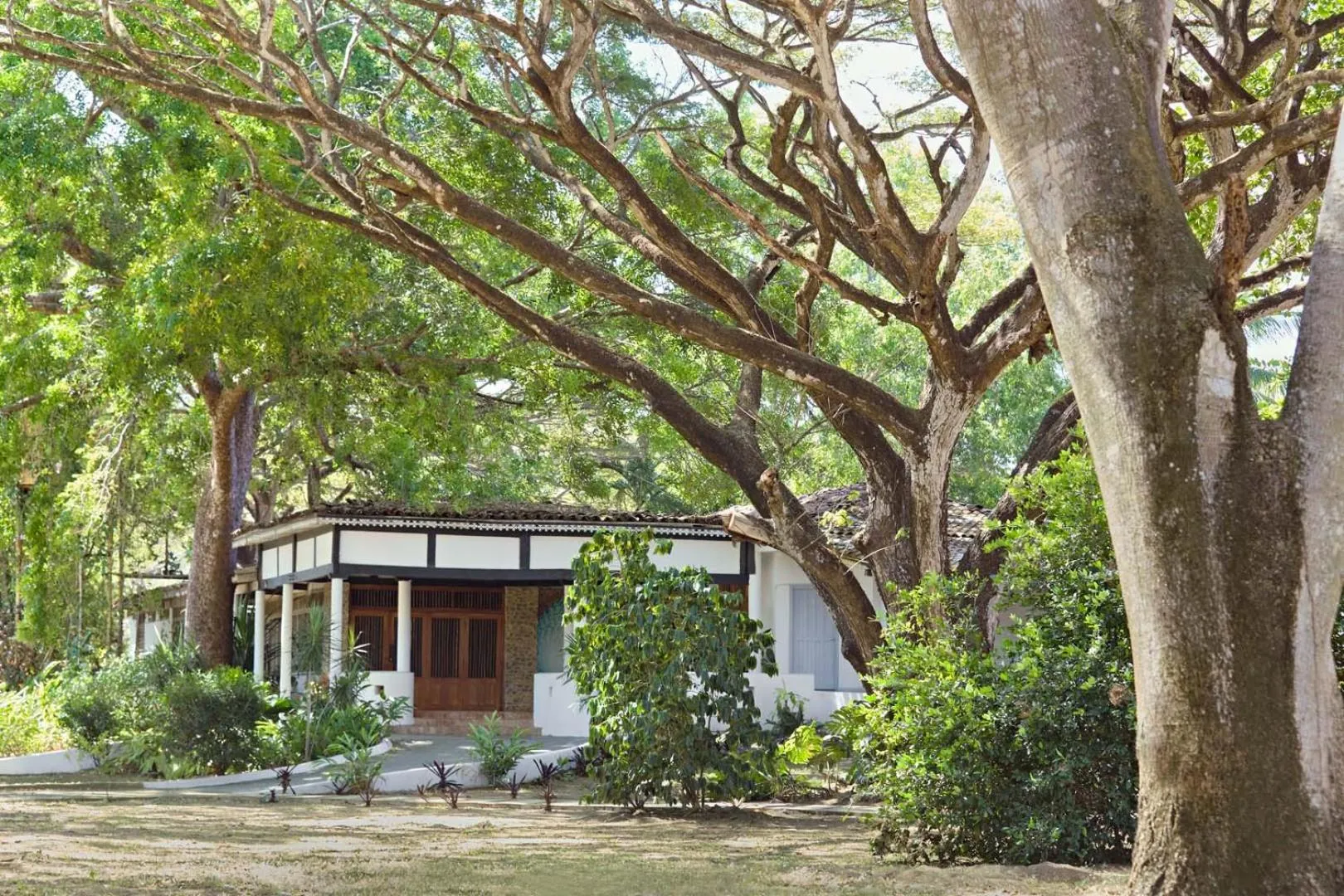 Garden in Villa Marina Hotel