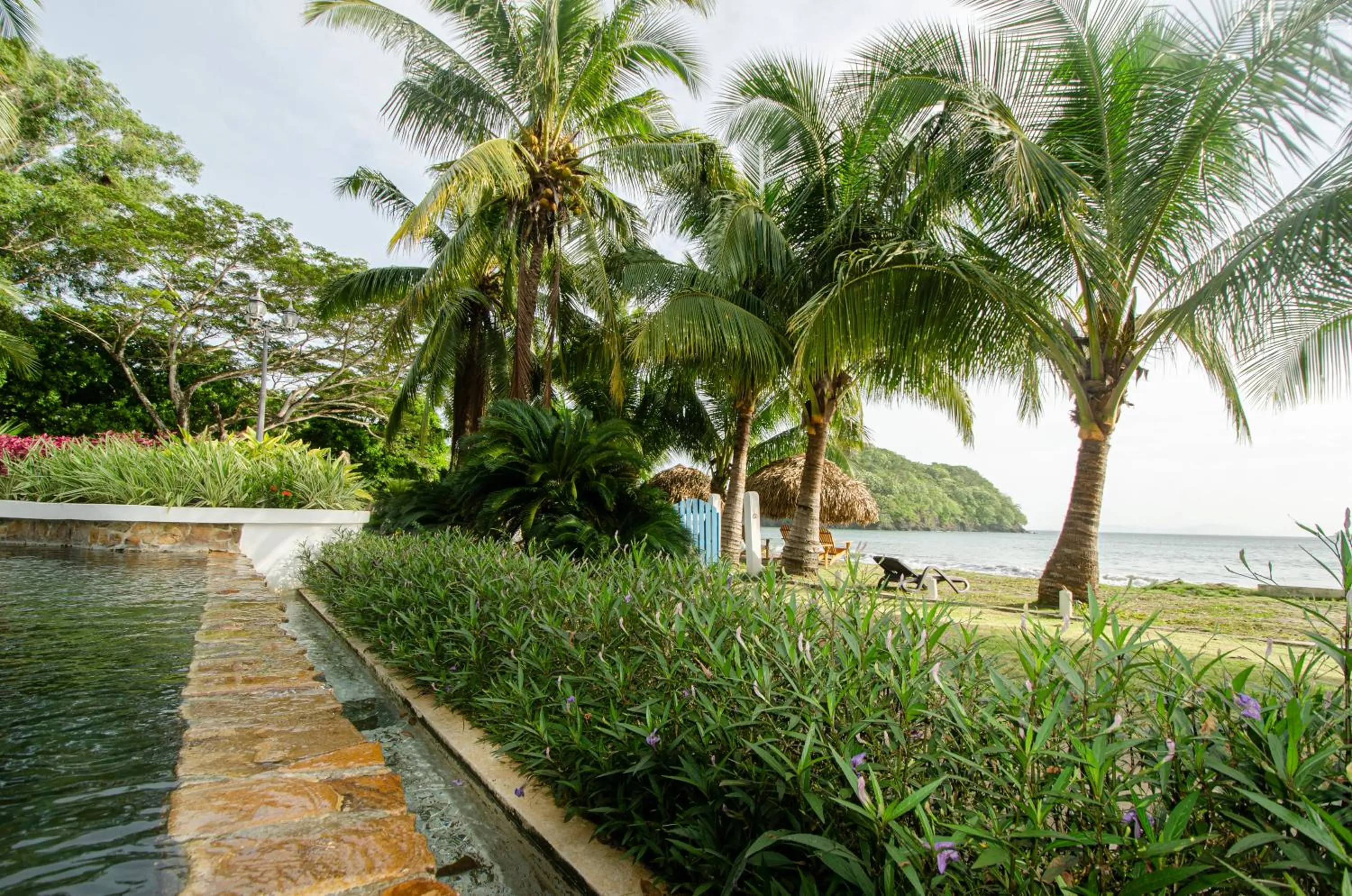 Natural landscape in Villa Marina Hotel