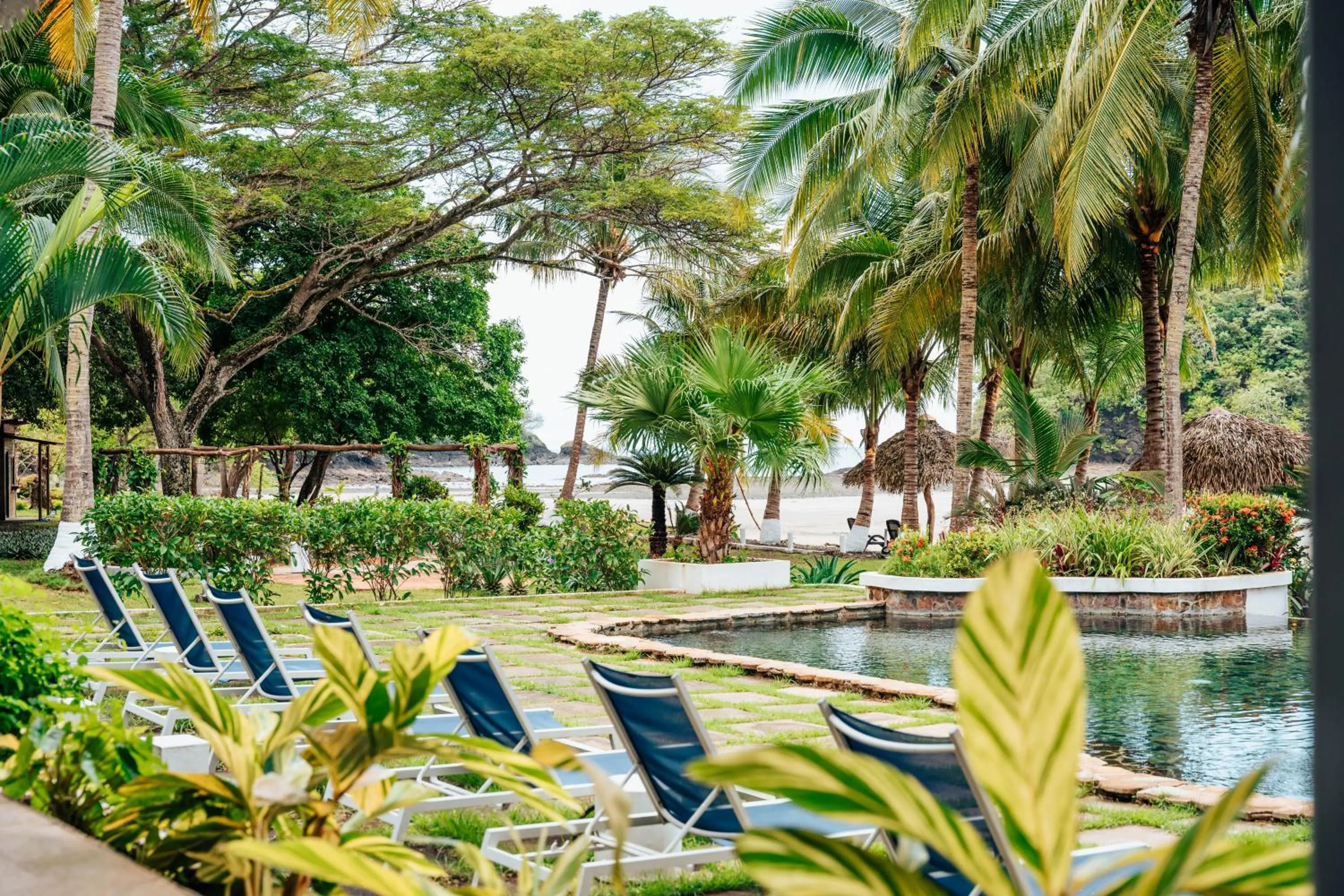 Garden in Villa Marina Hotel