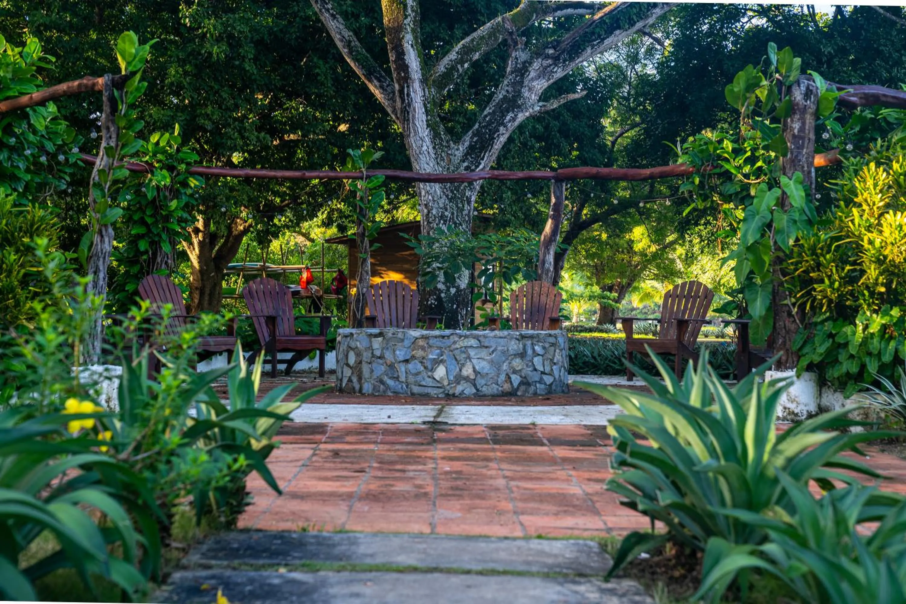 Area and facilities in Villa Marina Hotel