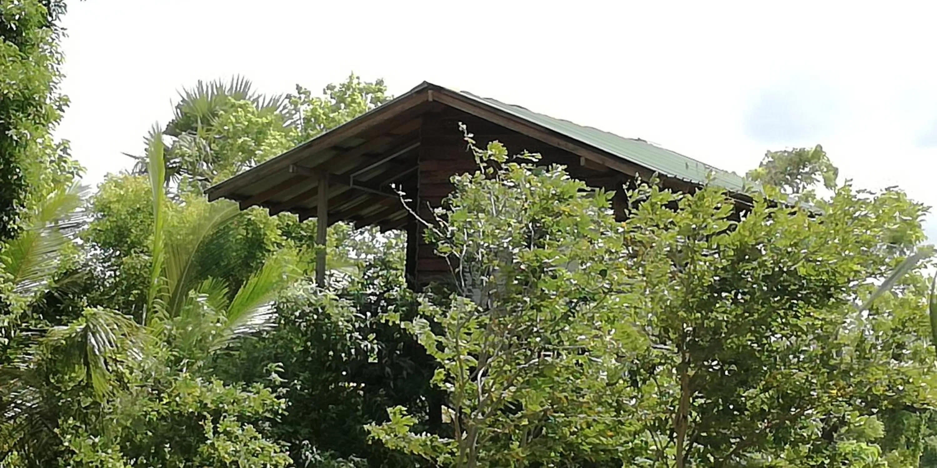 Property building in Sigiri Forest View