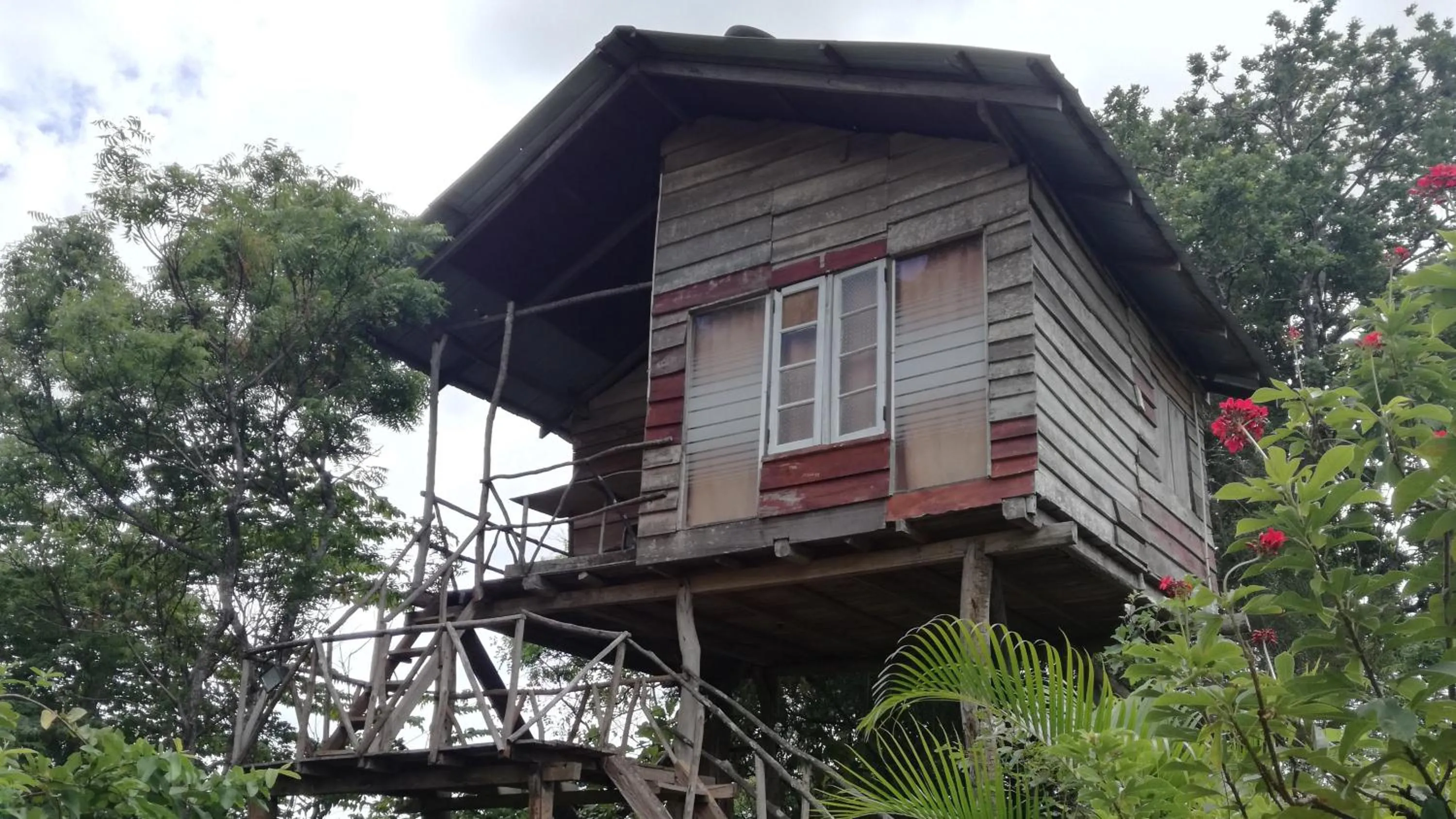 Property building in Sigiri Forest View