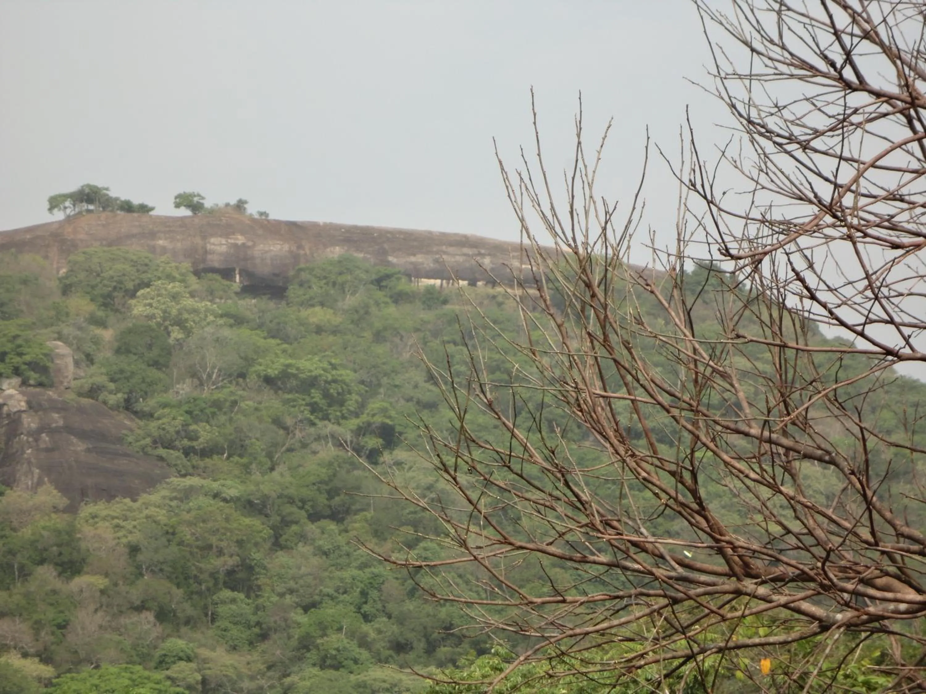View (from property/room) in Sigiri Forest View