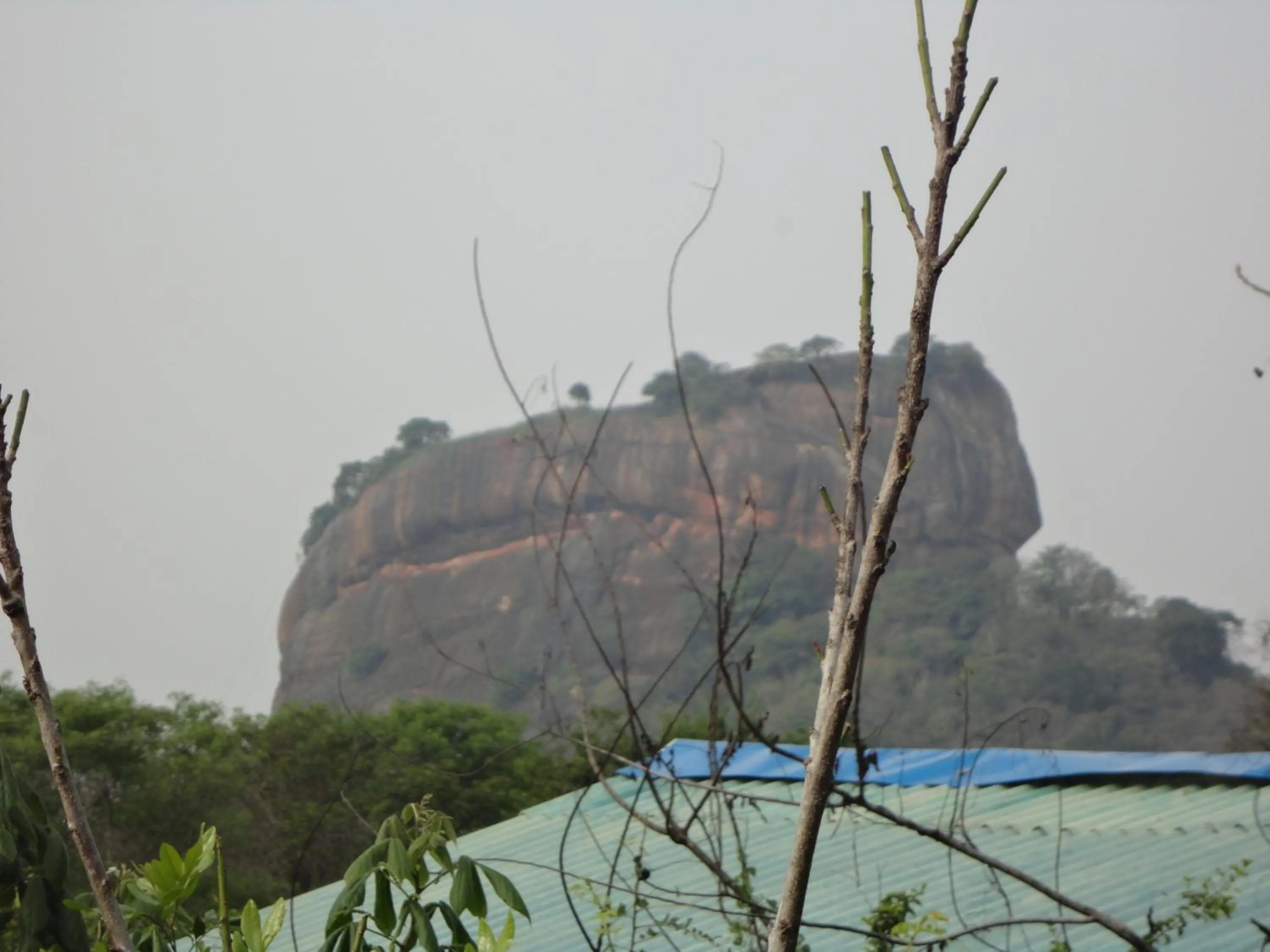 Area and facilities in Sigiri Forest View