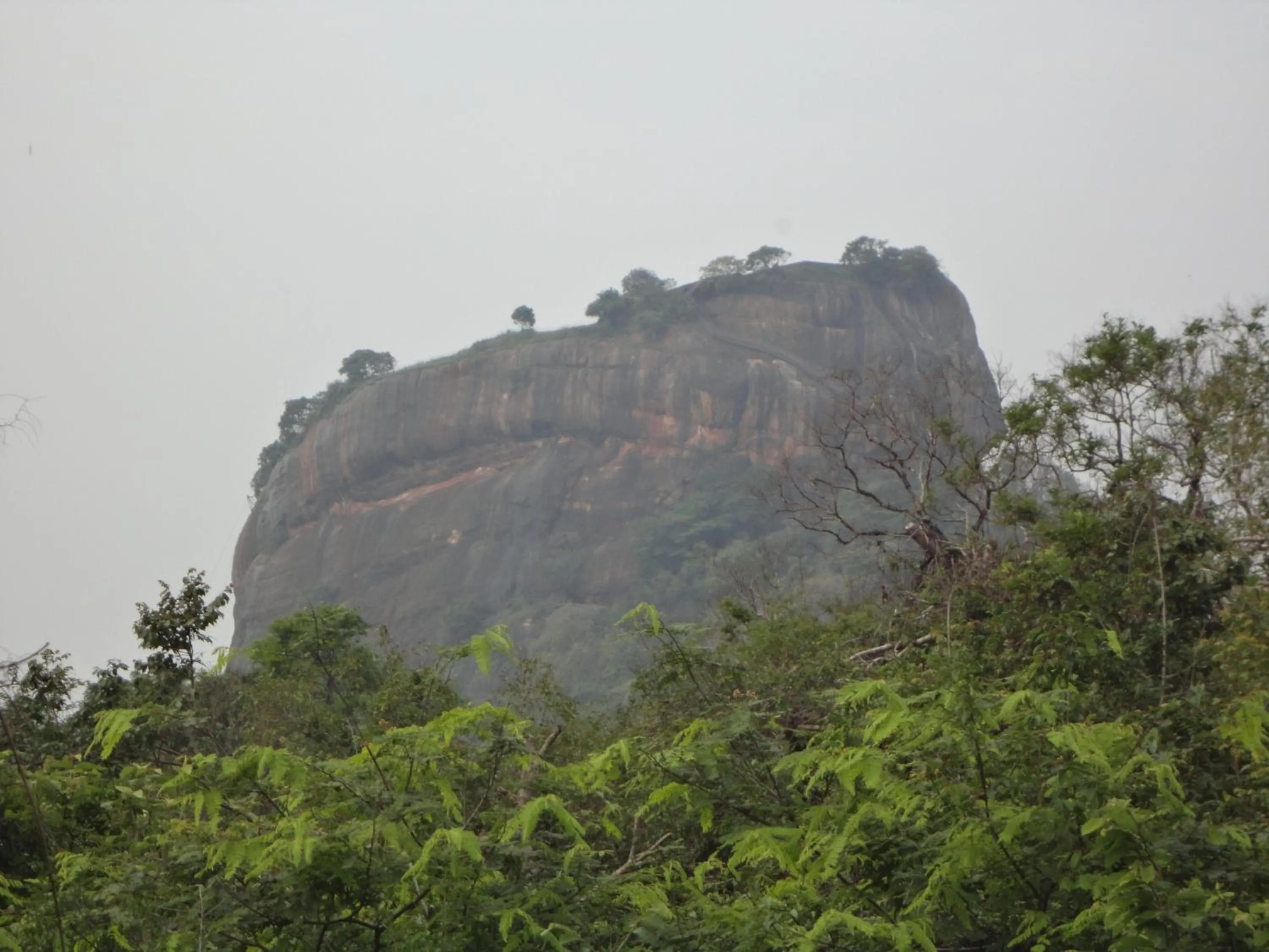 View (from property/room) in Sigiri Forest View