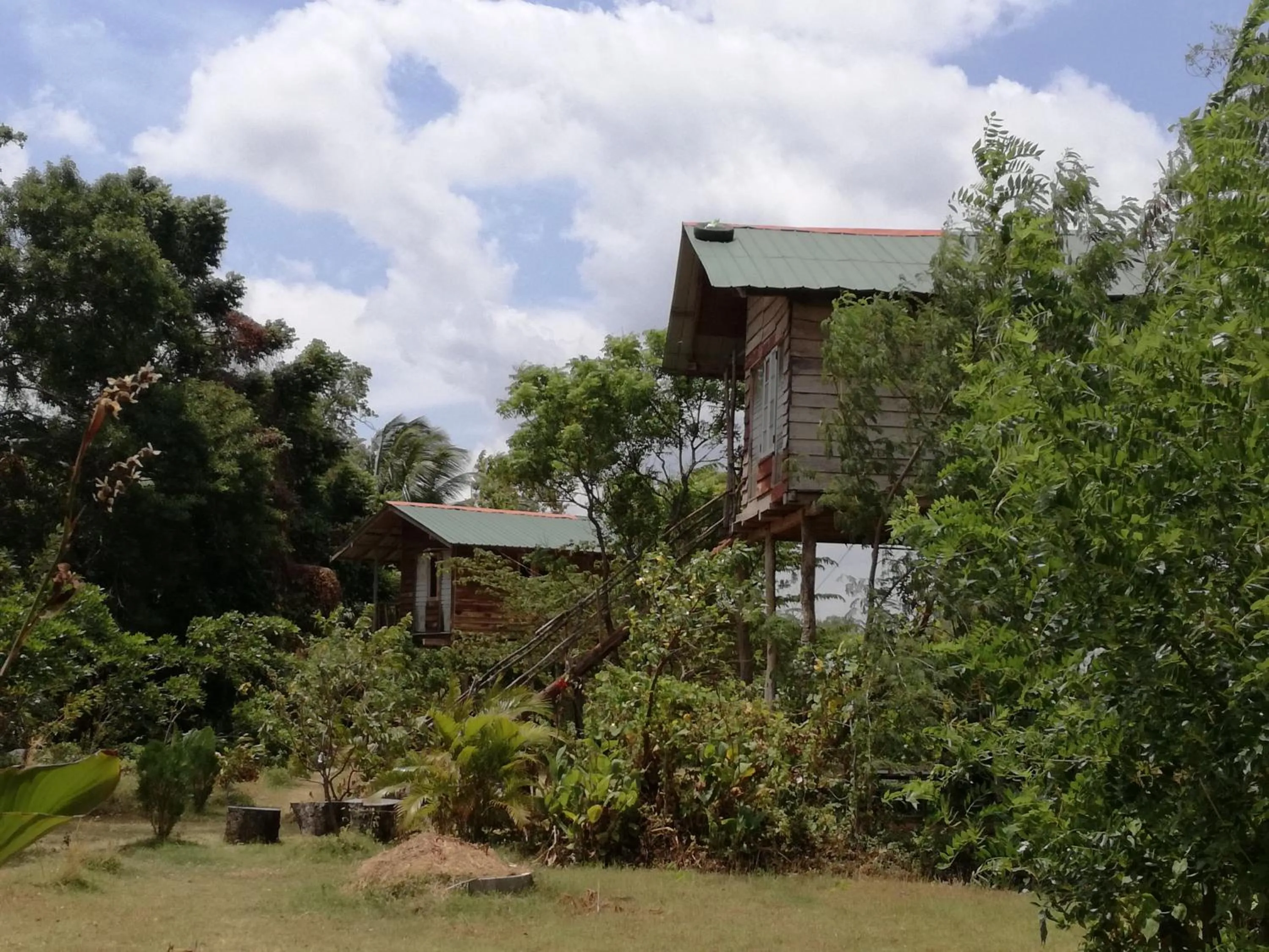 View (from property/room) in Sigiri Forest View