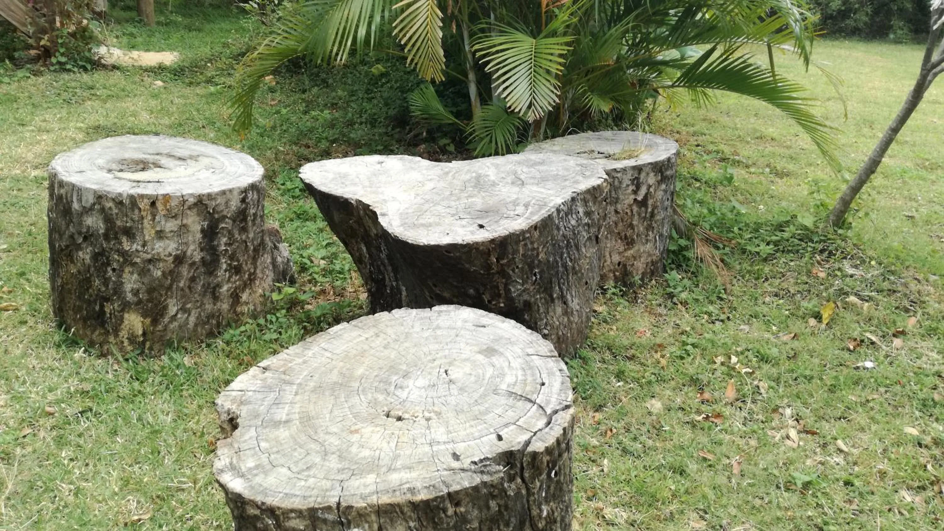 Other in Sigiri Forest View