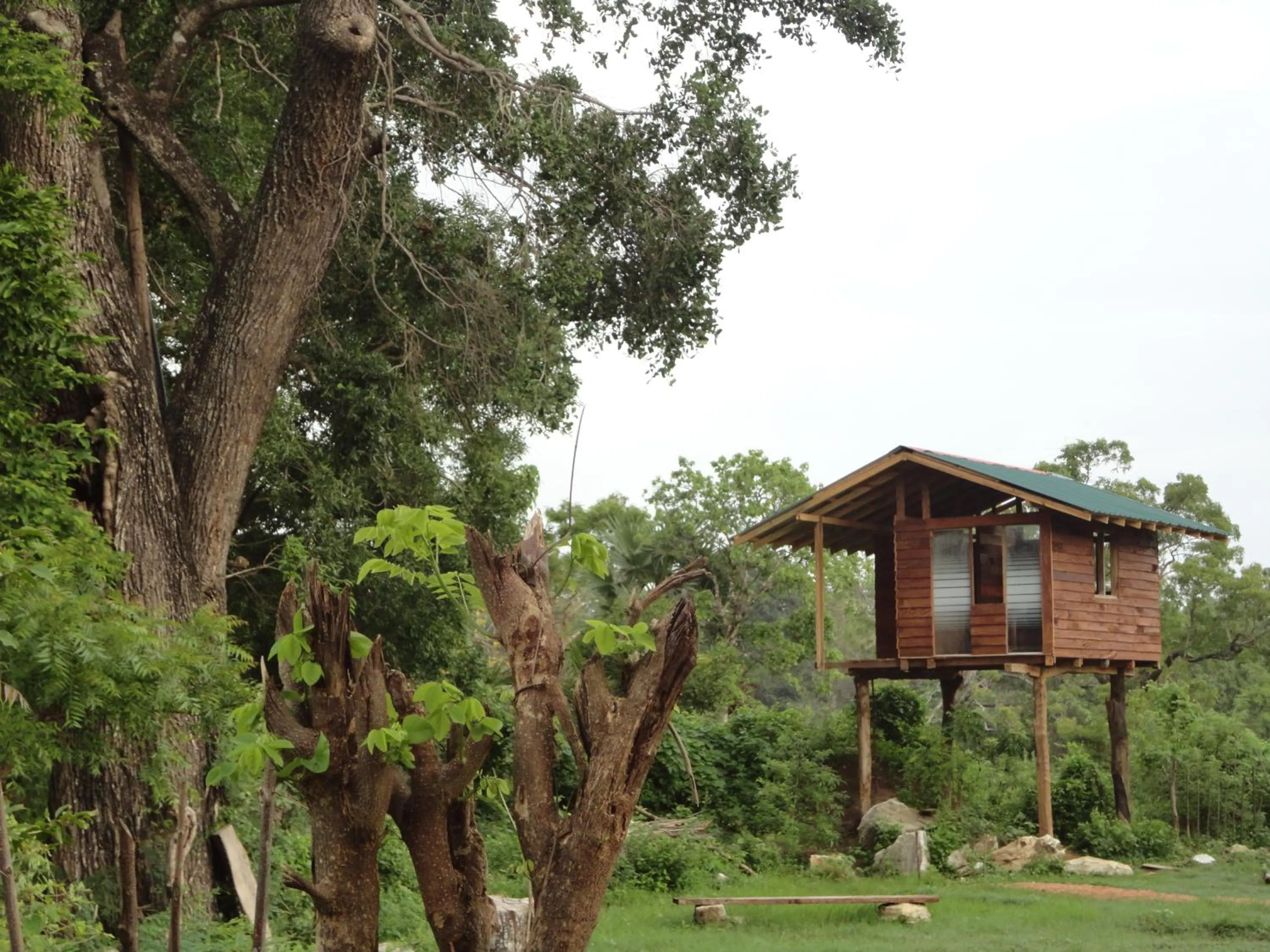 Garden view in Sigiri Forest View
