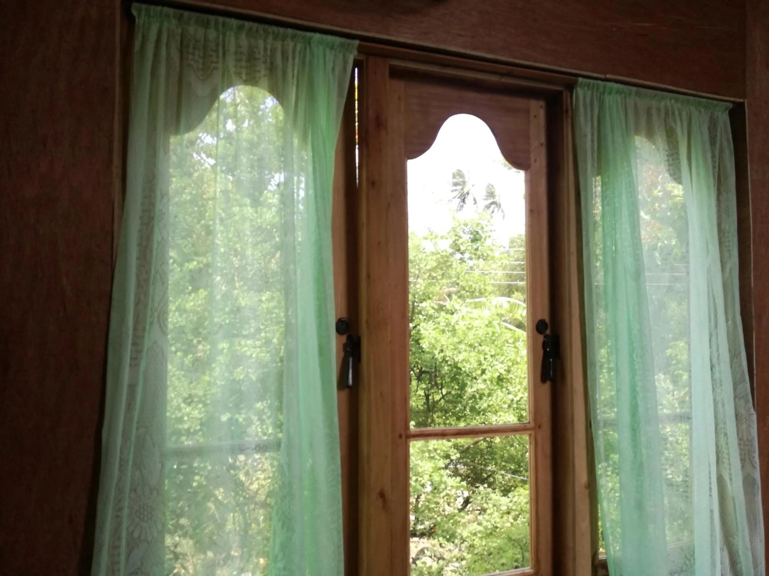 Other in Sigiri Forest View