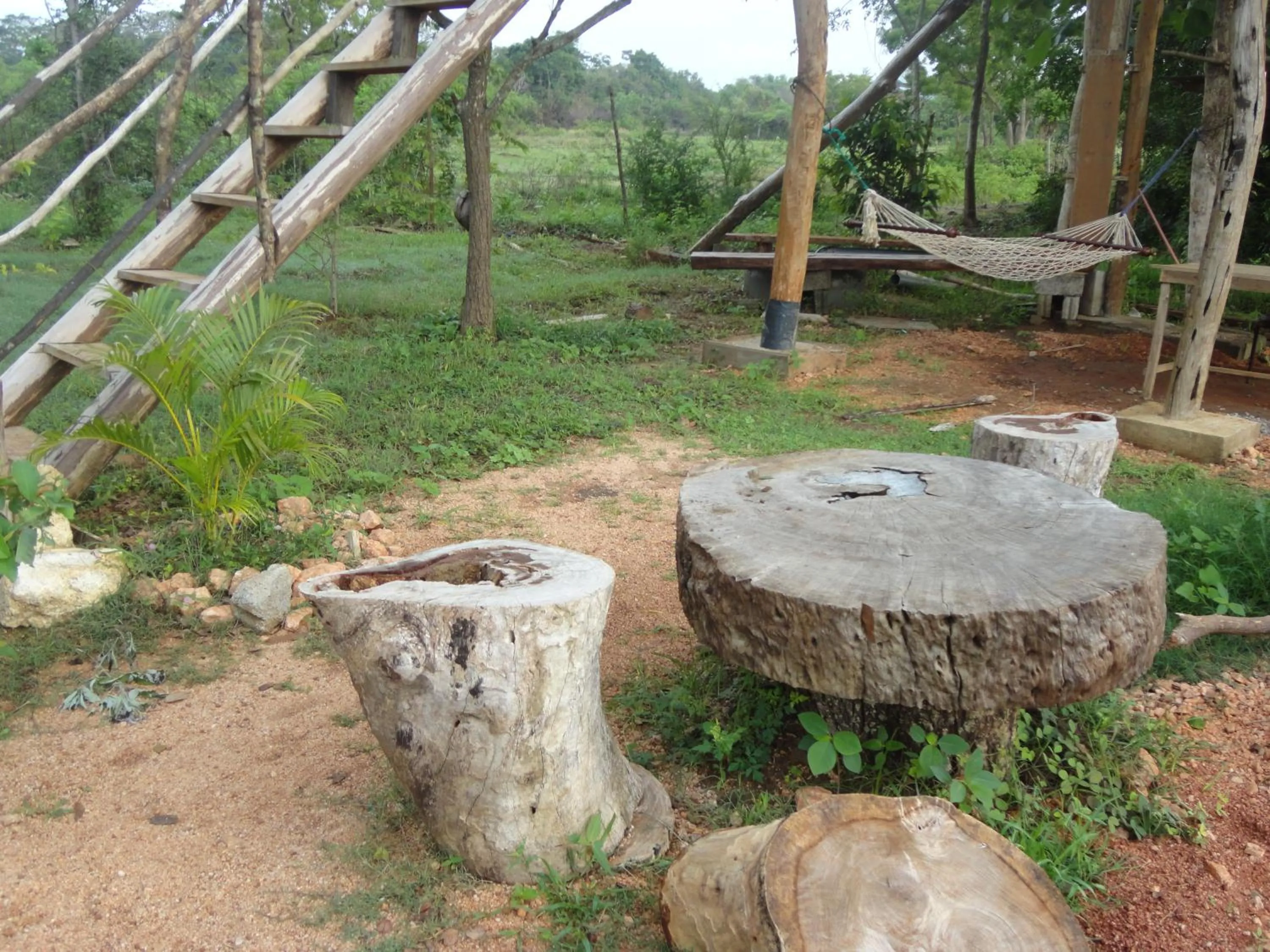 Restaurant/places to eat in Sigiri Forest View
