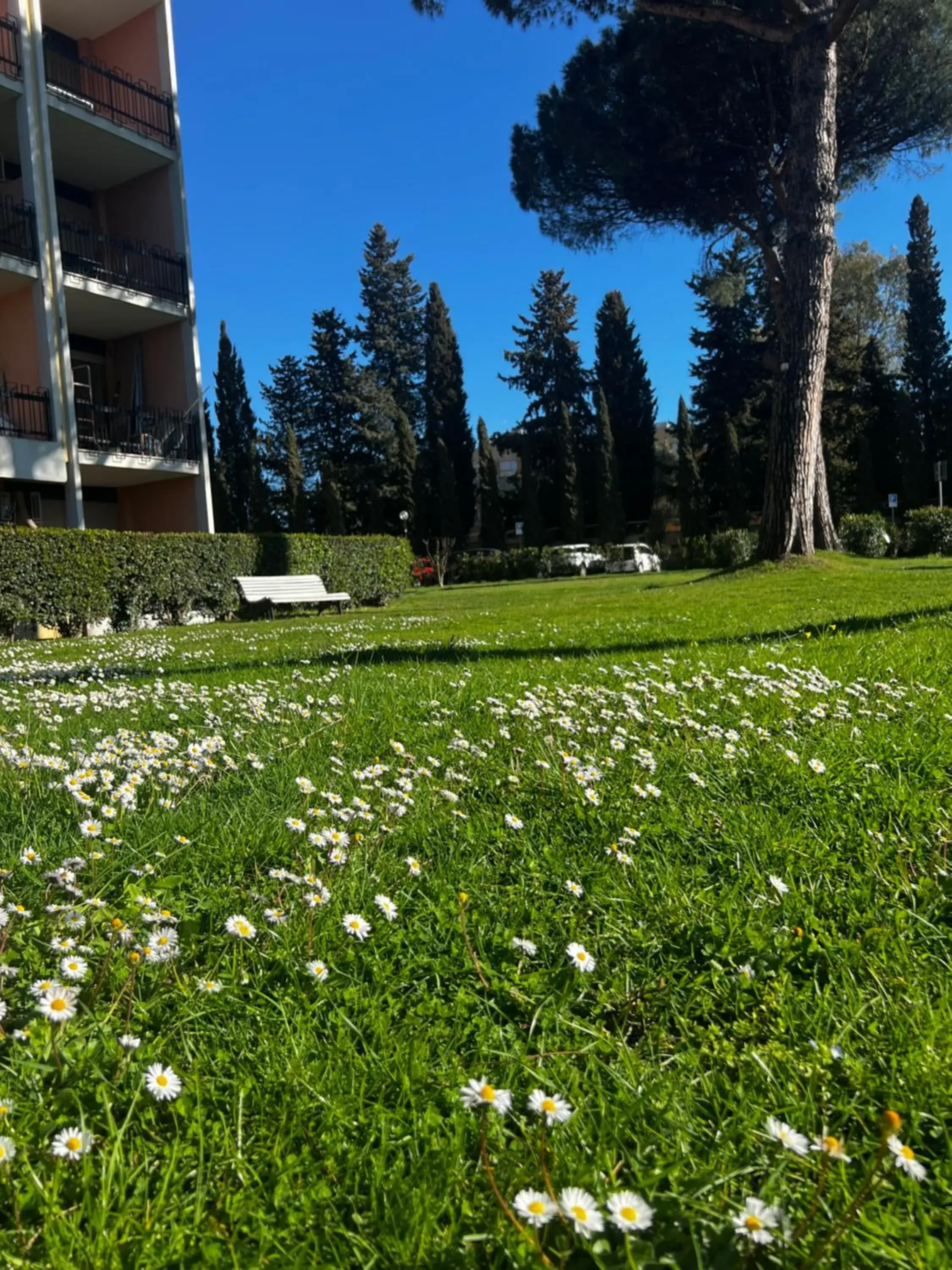 Parco Tirreno Hotel Parco Tirreno Hotel