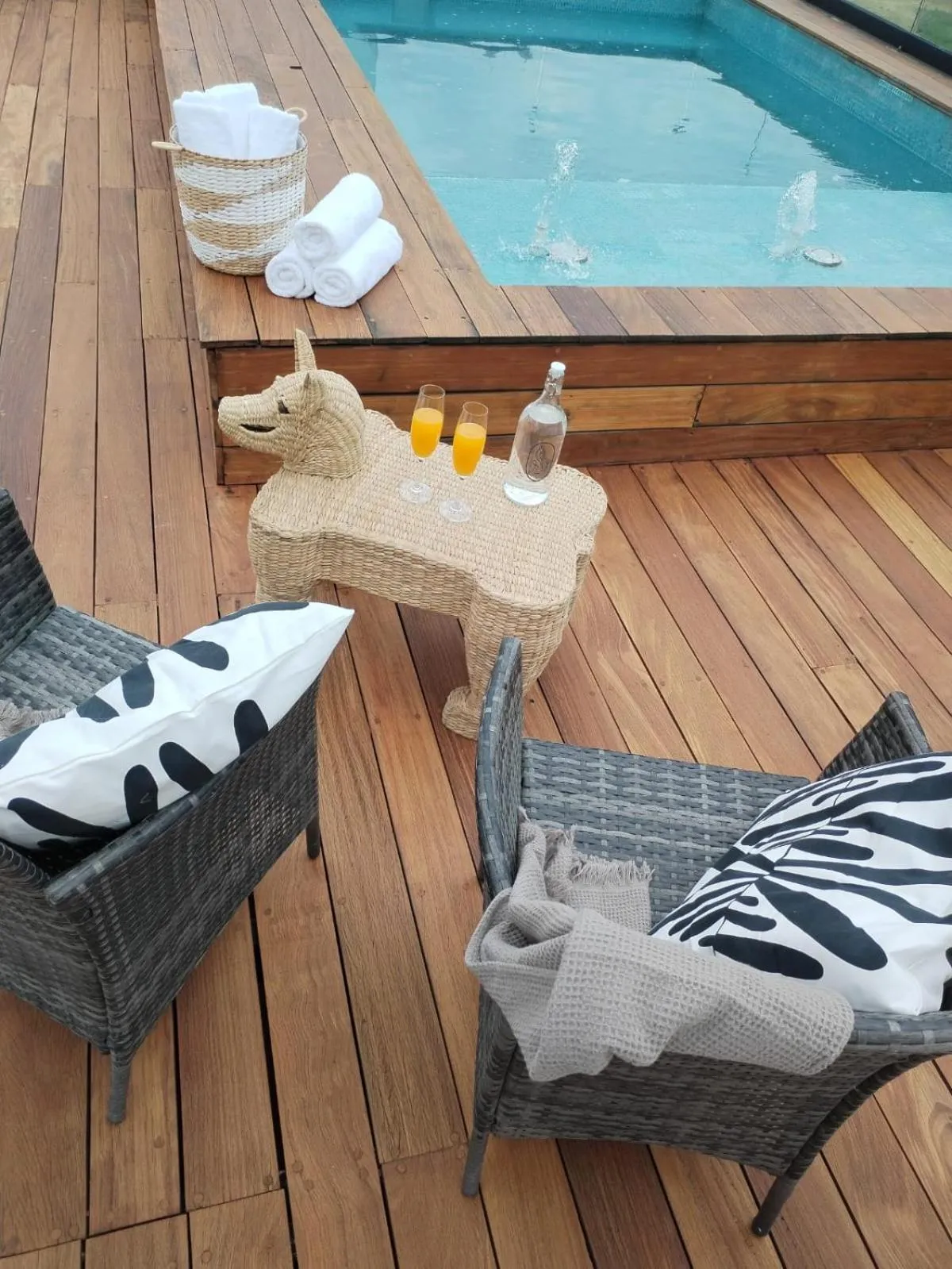 Balcony/Terrace in Hotel Casa Chanehque