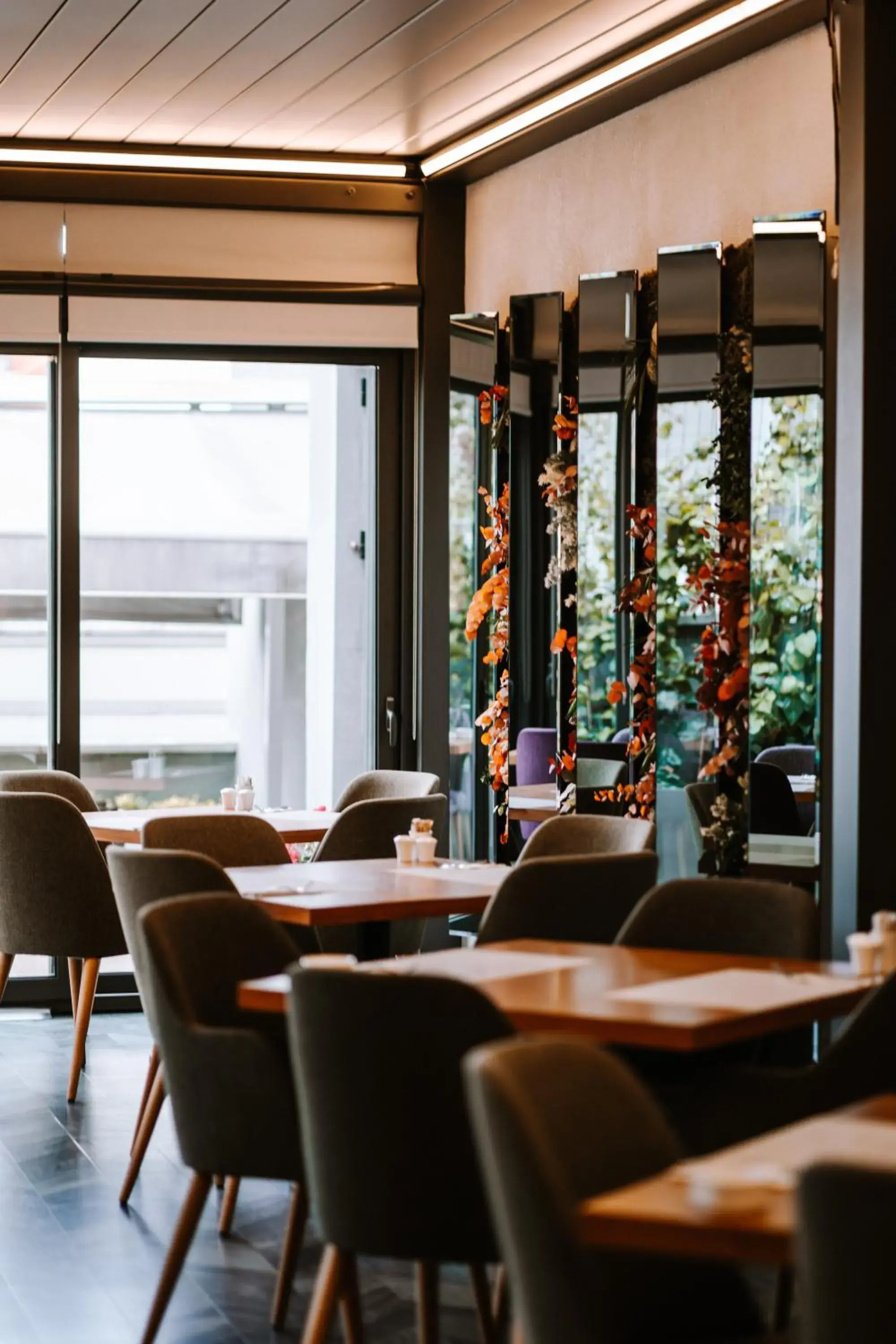 Restaurant/places to eat in Fer Hotel Restaurant/places to eat in Fer Hotel