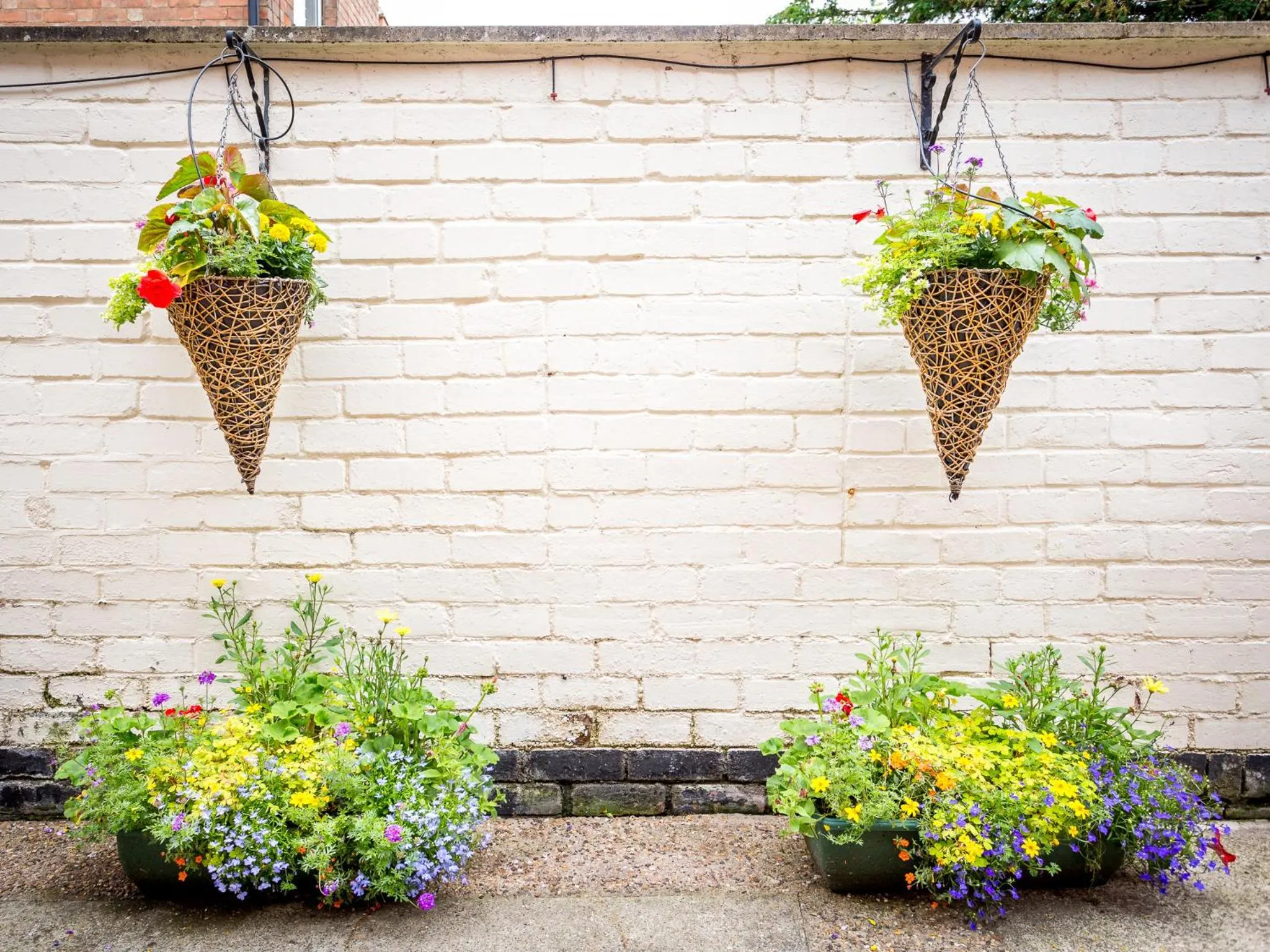 Spring in Arden Park Ensuite Rooms