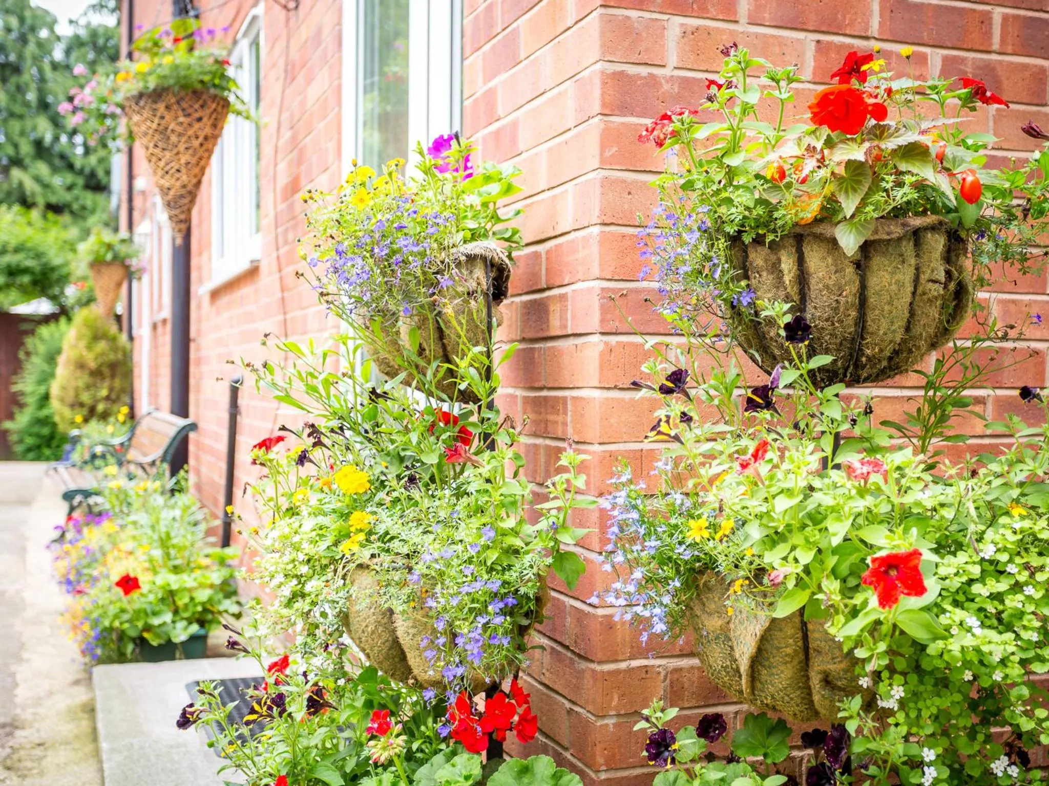 Spring in Arden Park Ensuite Rooms