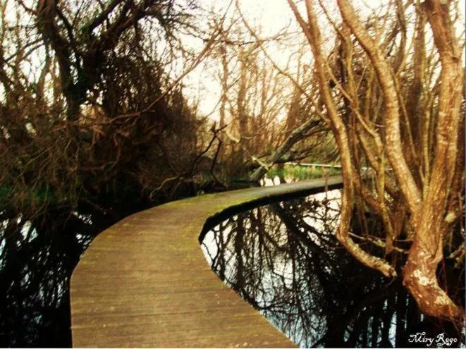 Hiking in Hotel Viento del Norte