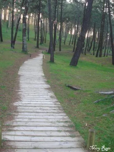 Hiking in Hotel Viento del Norte