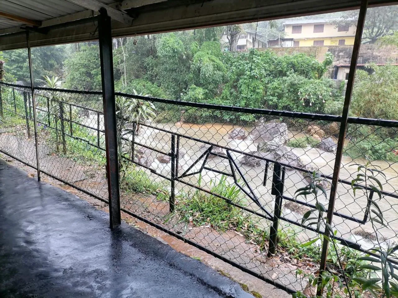 Garden view in Pure Land Villa