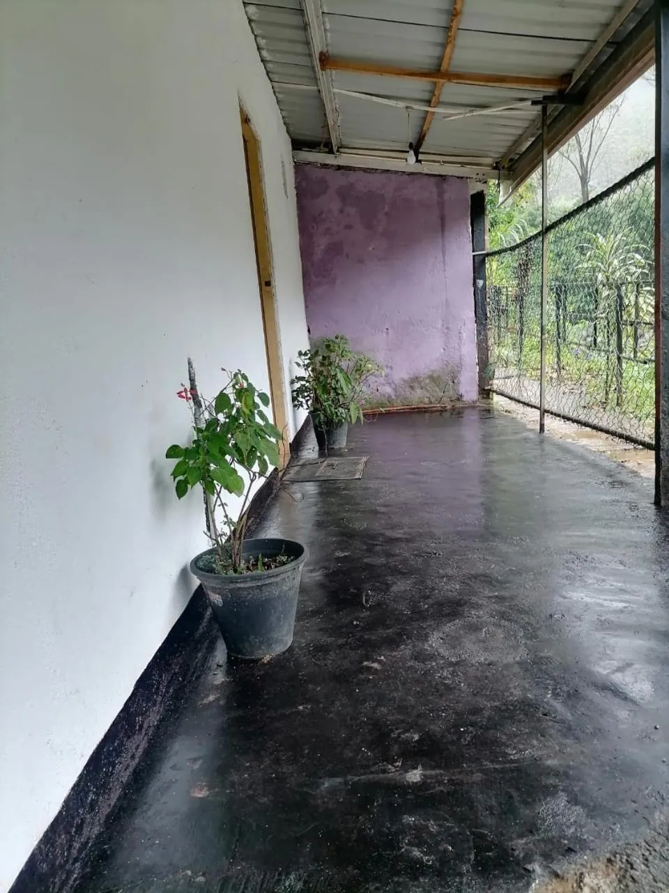 Pure Land Villa