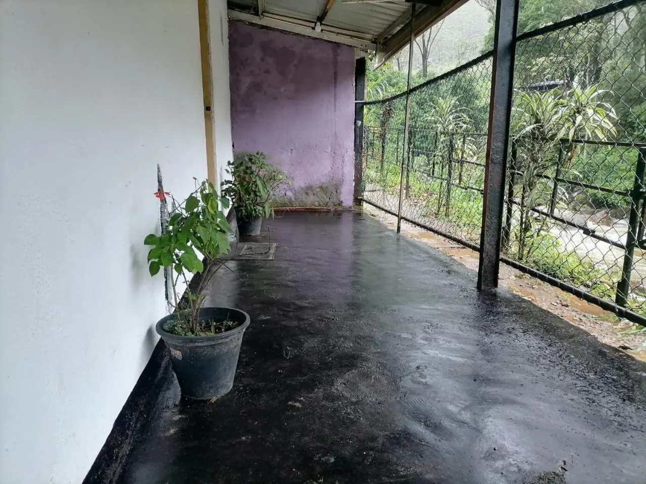 Balcony/Terrace in Pure Land Villa