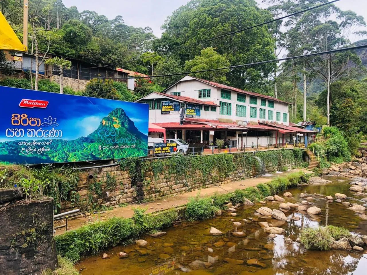 Natural landscape in Pure Land Villa