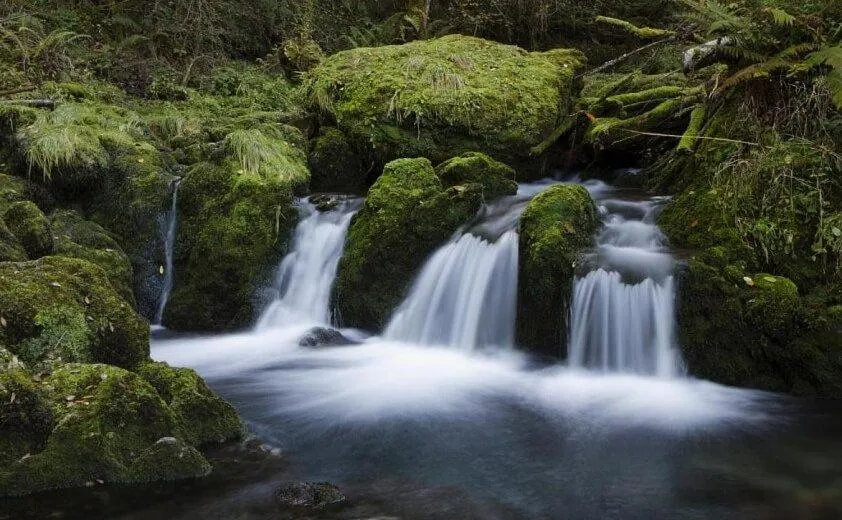 Hiking in Hotel Eutimio