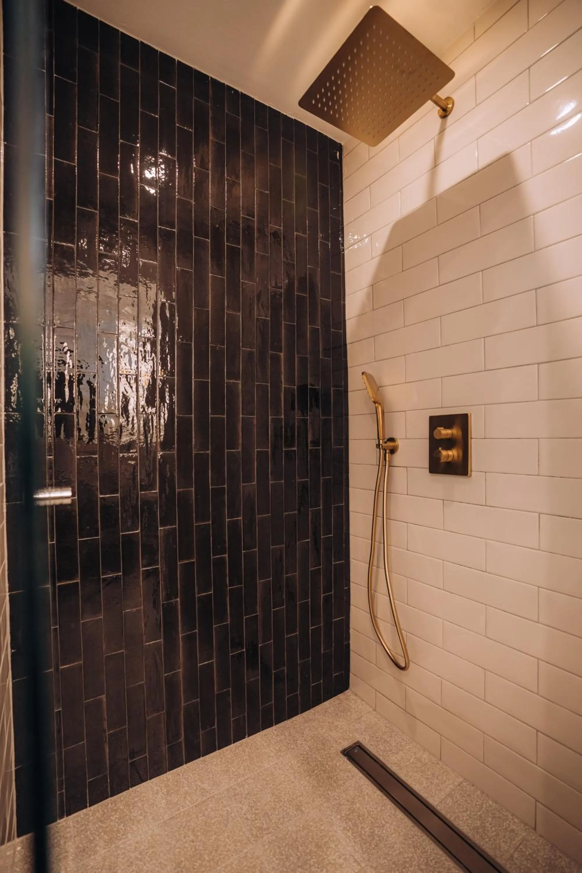 Shower in Villa Pupin Gorna Porta