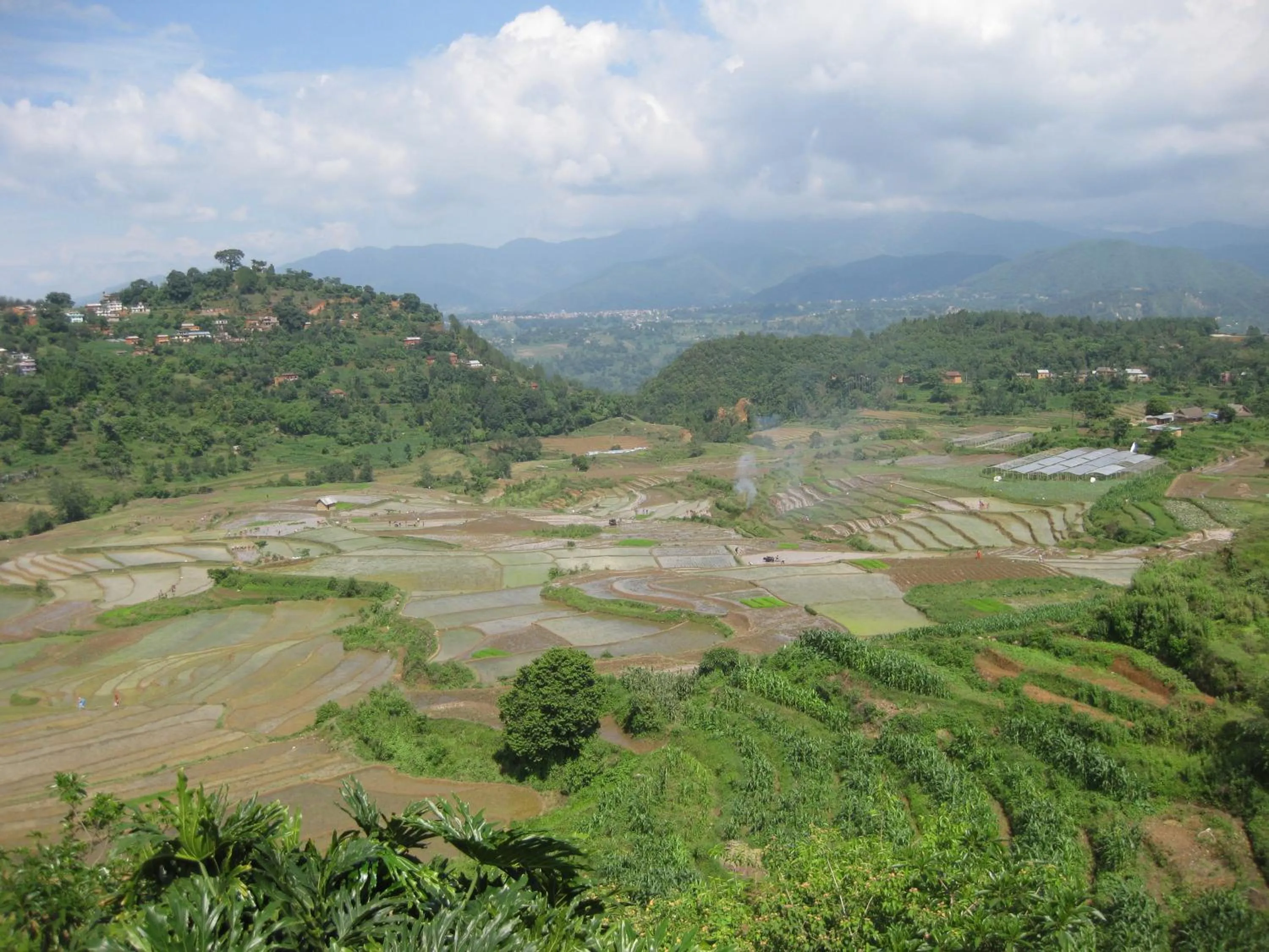 View (from property/room) in Hotel Swiss