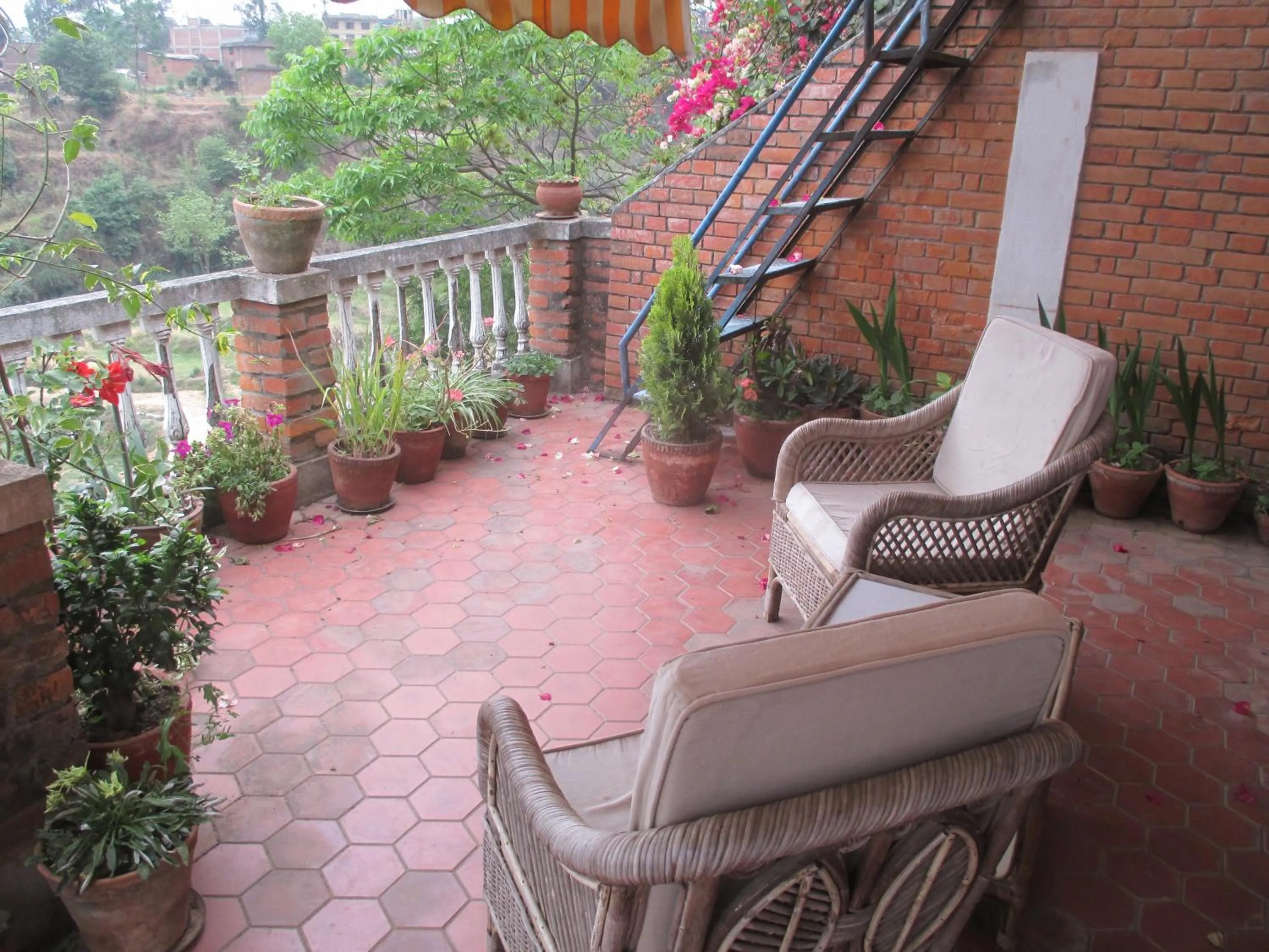 Patio in Hotel Swiss