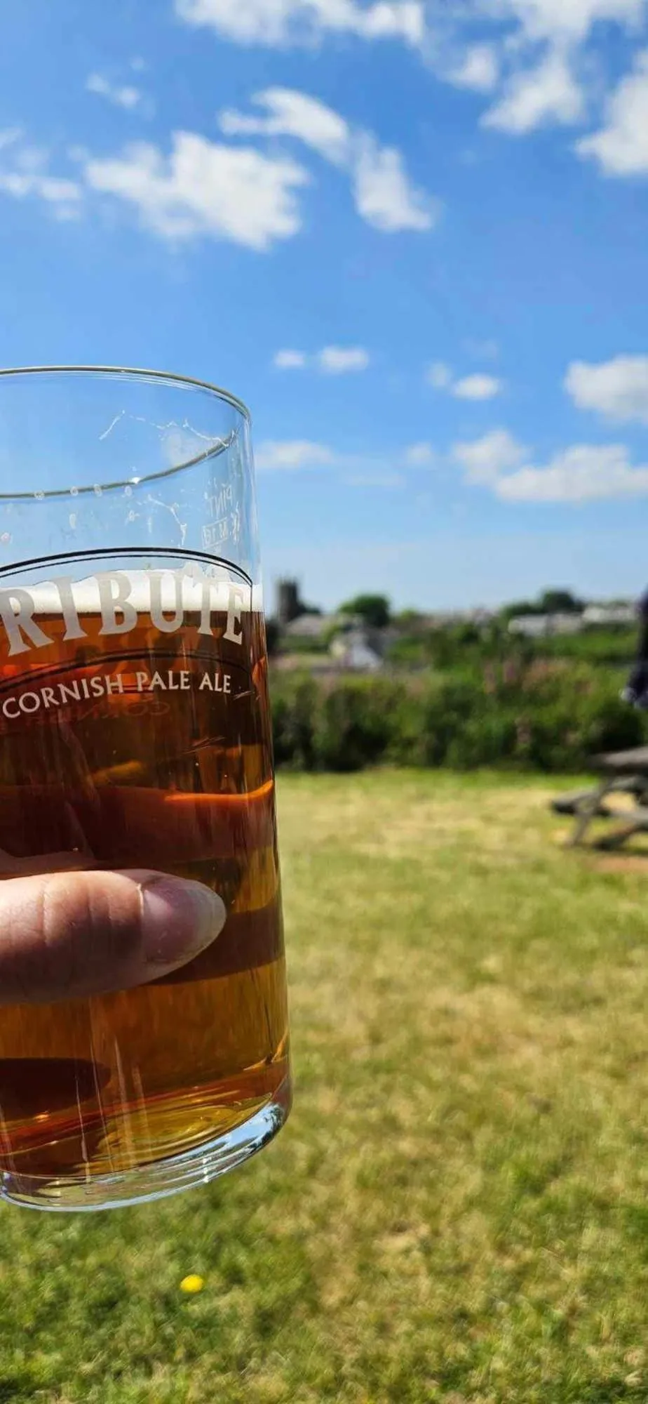 Natural landscape in Jubilee Inn