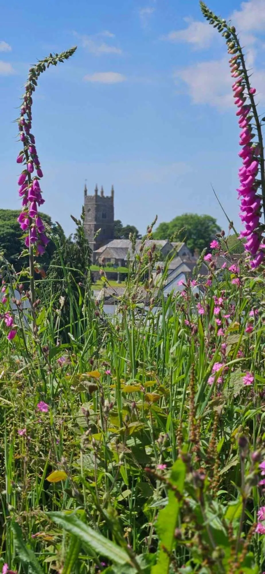Natural landscape in Jubilee Inn