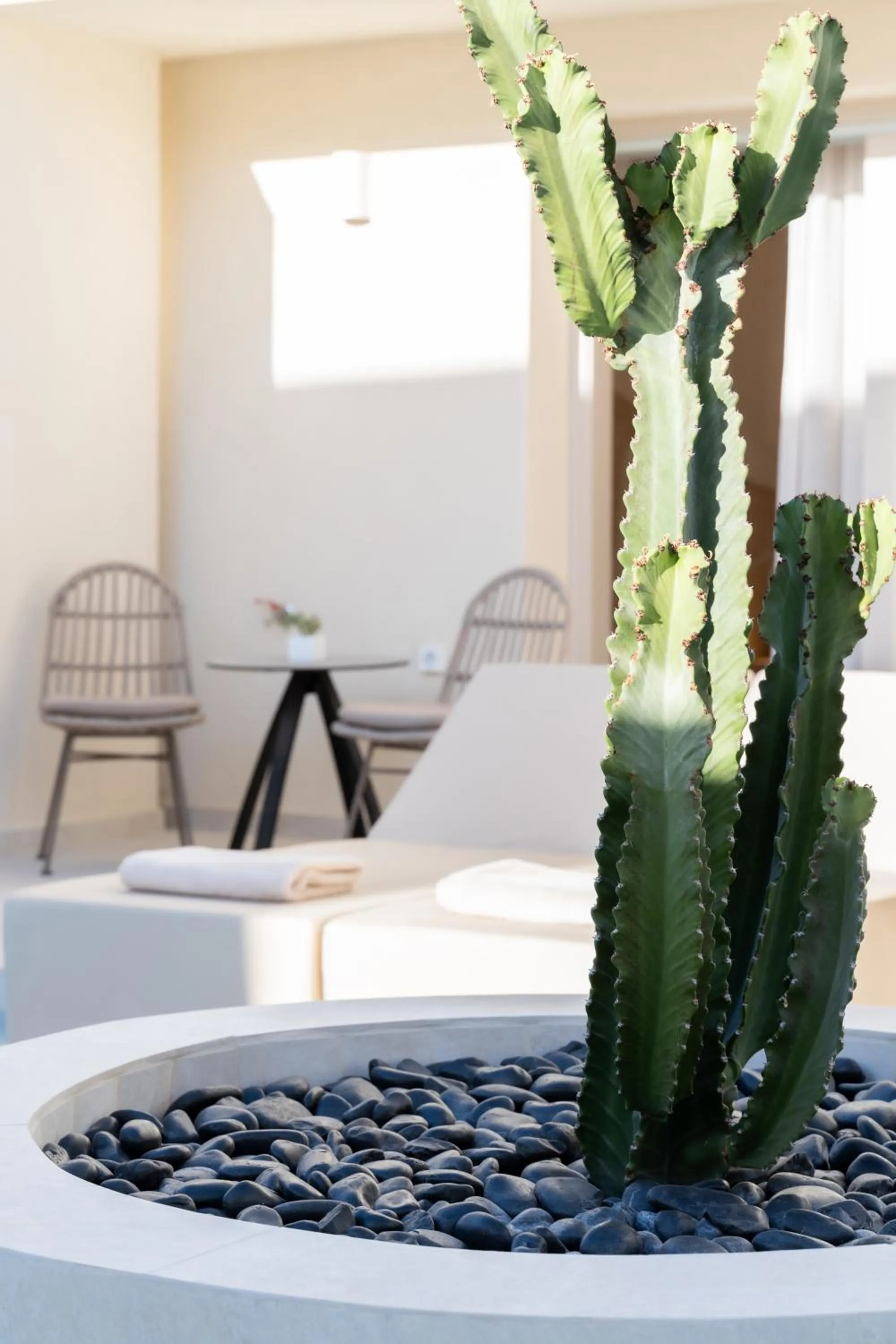 Heyday Luxury Suites