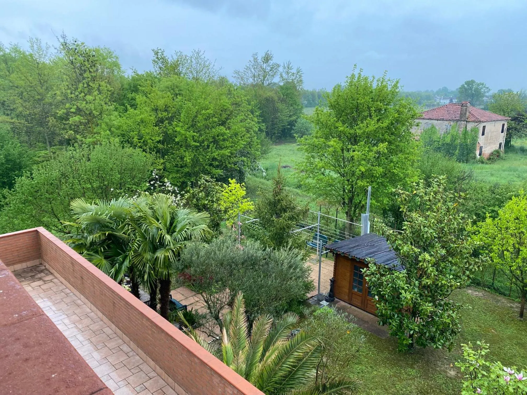 Garden view in Dream