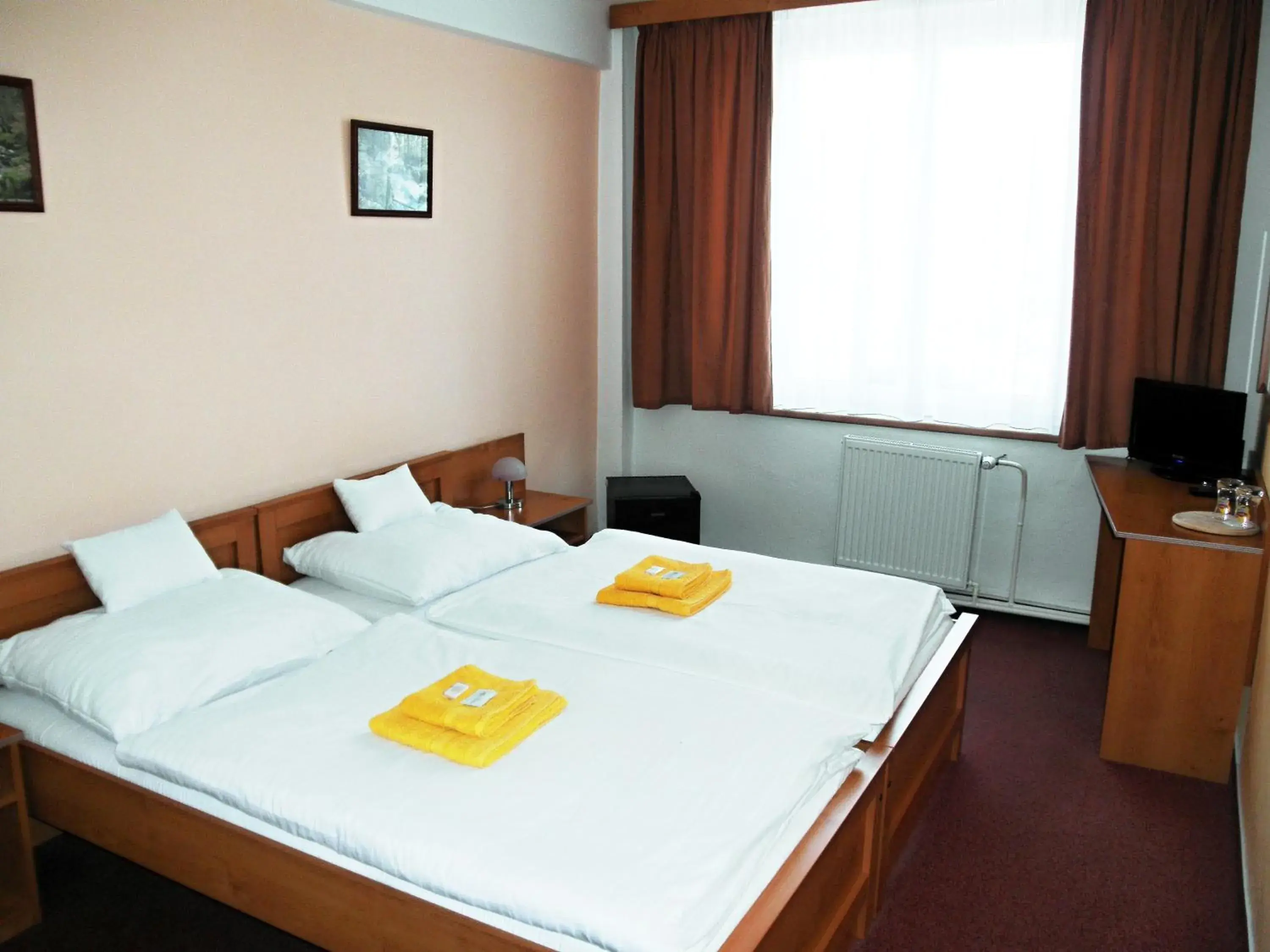 Double or Twin Room with City View - single occupancy in Hotel Vysocina Double or Twin Room with City View - single occupancy in Hotel Vysocina