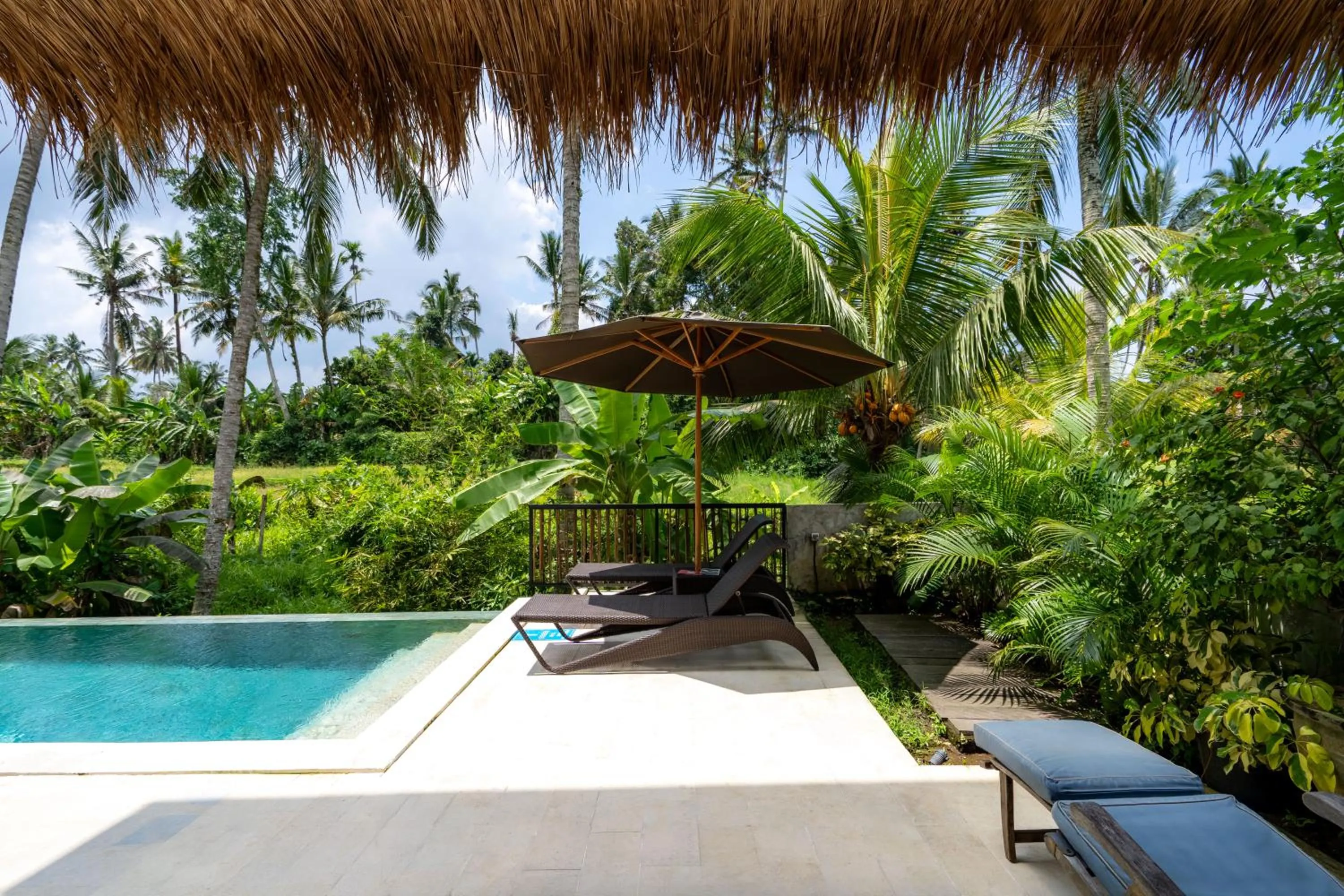 Swimming pool in Bali View Ubud Hotel