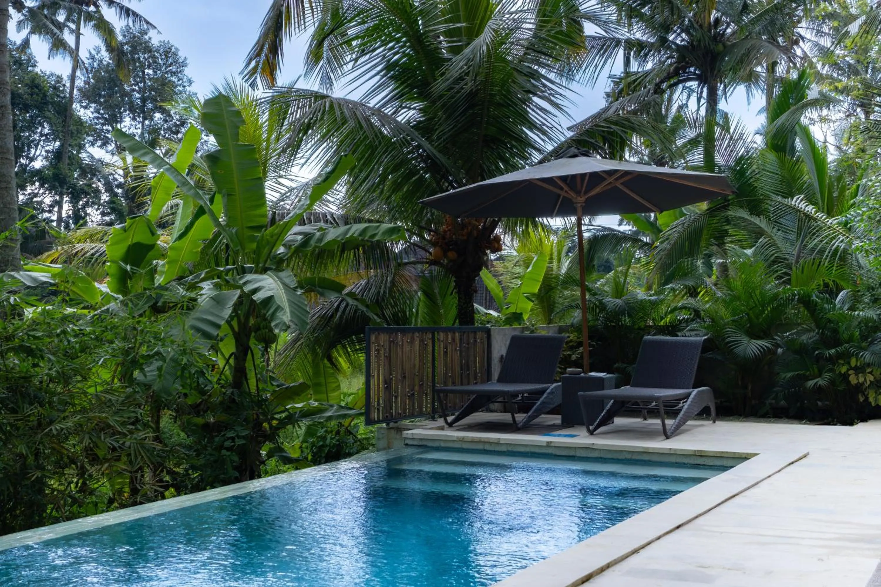 Swimming pool in Bali View Ubud Hotel
