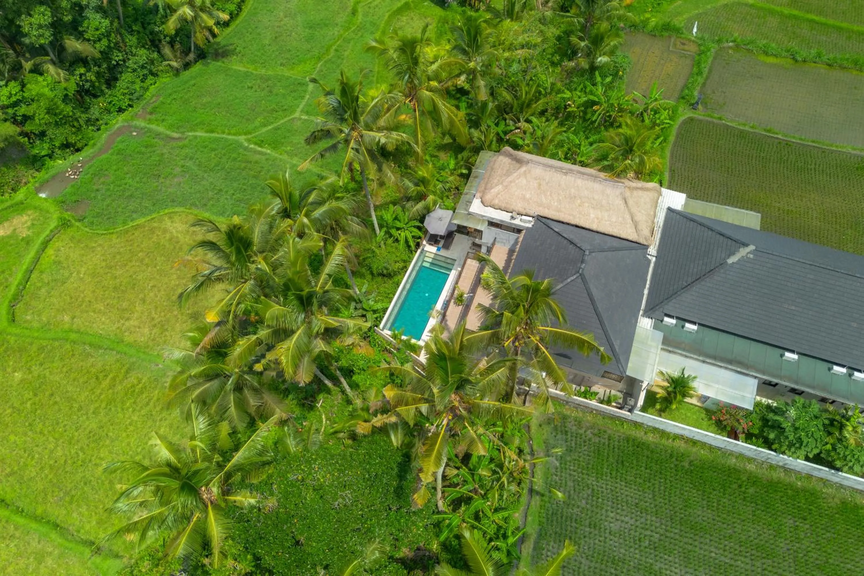 Property building in Bali View Ubud Hotel