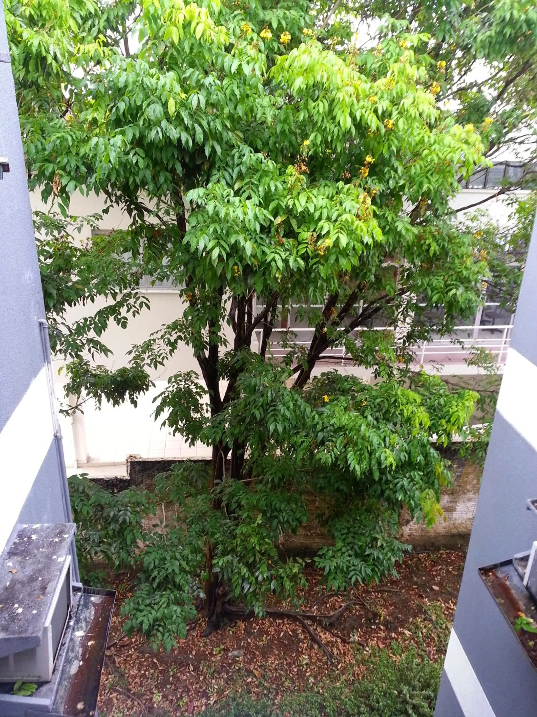 Garden view in APART HOTEL MANAUS 10 Pessoas 4 Quartos
