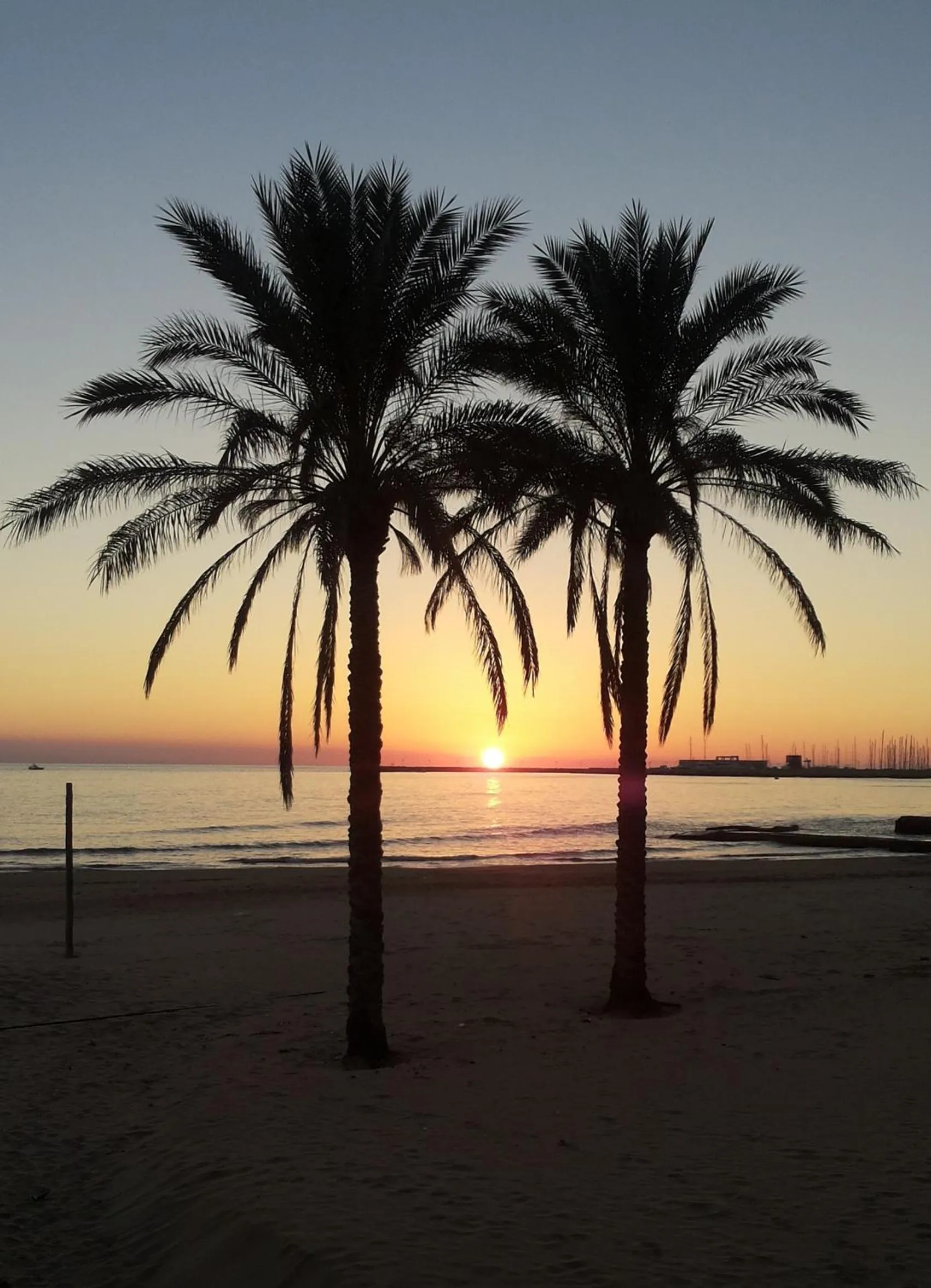 Natural landscape in Acacia Marina