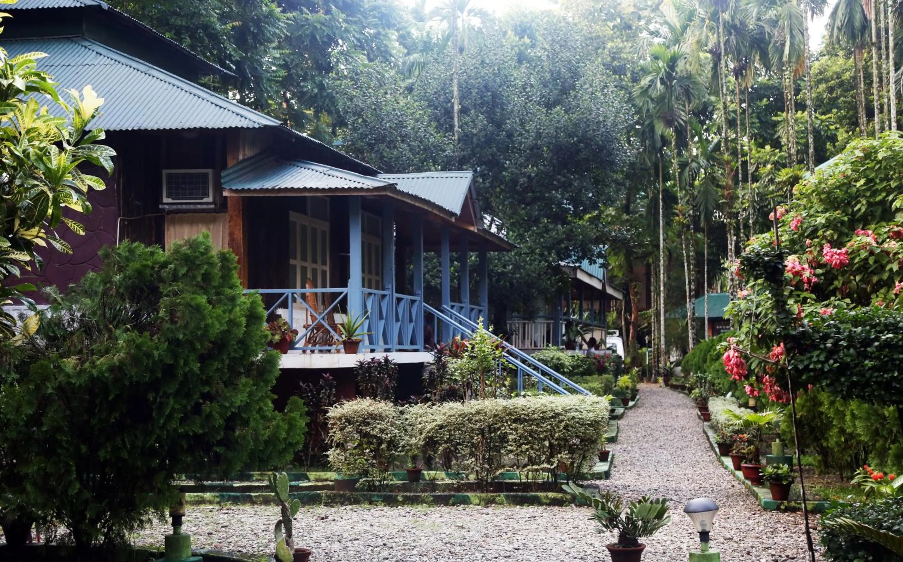 Garden in Aranya Jungle Resorts