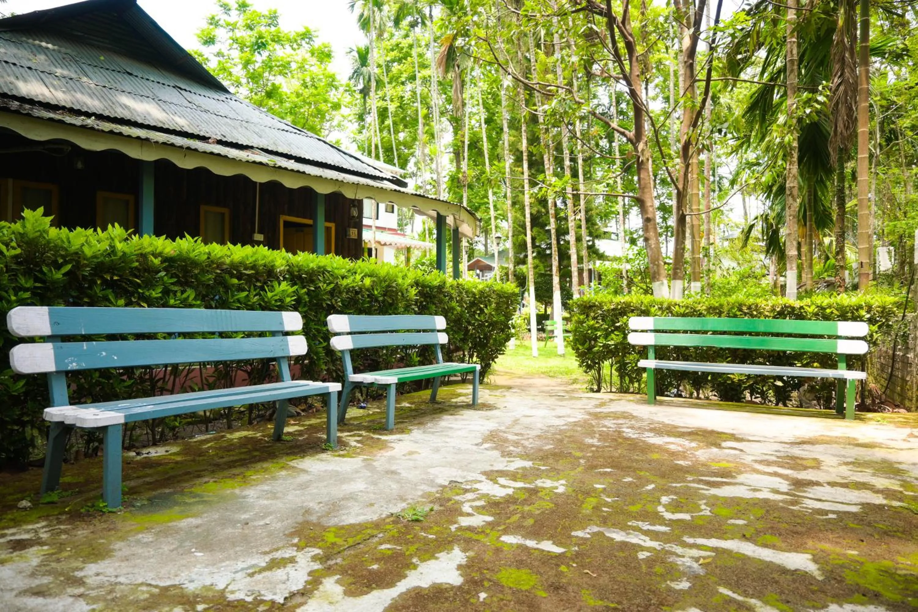 Spring in Aranya Jungle Resorts