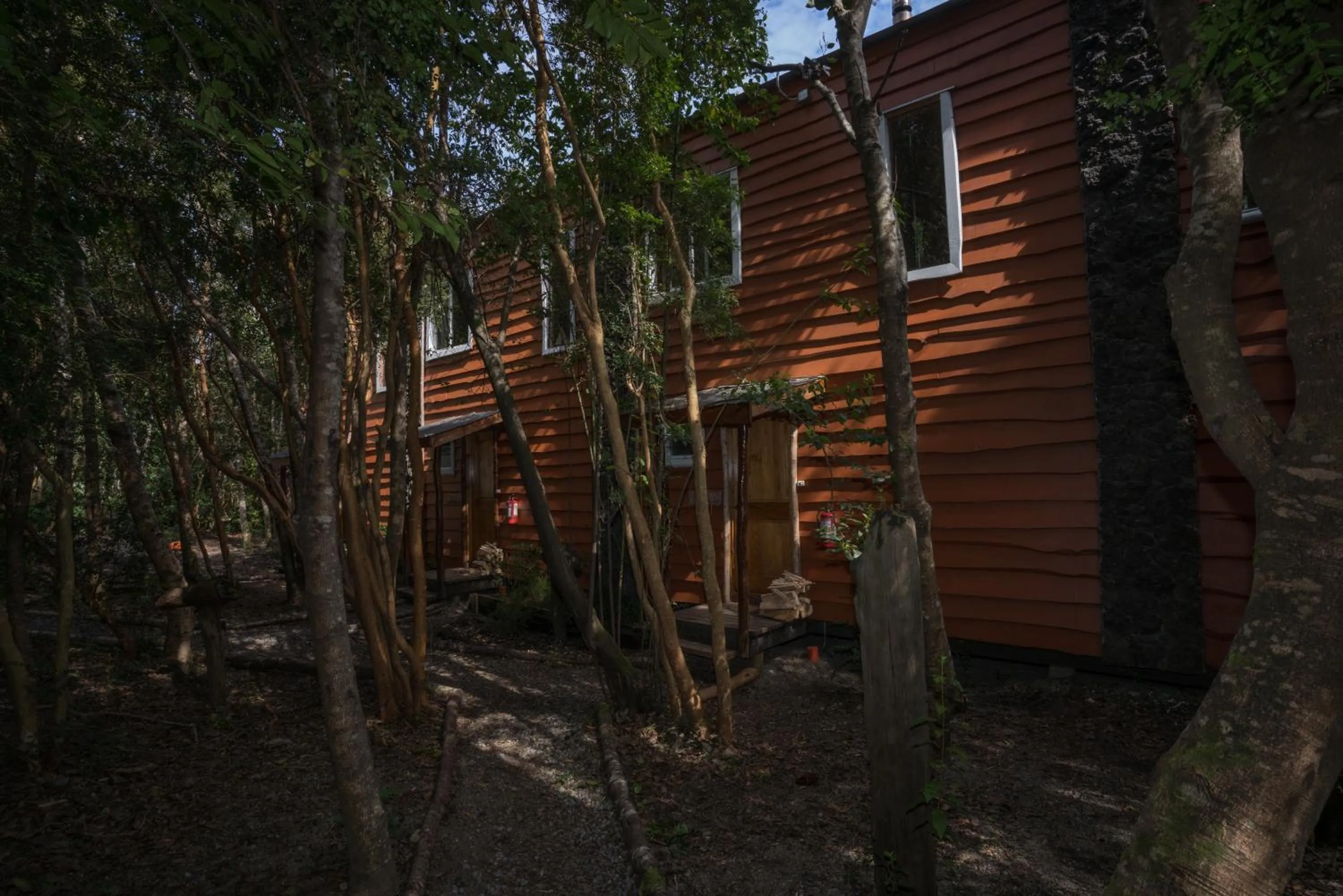 Property building in Cabañas Ensenada Bosque Nativo