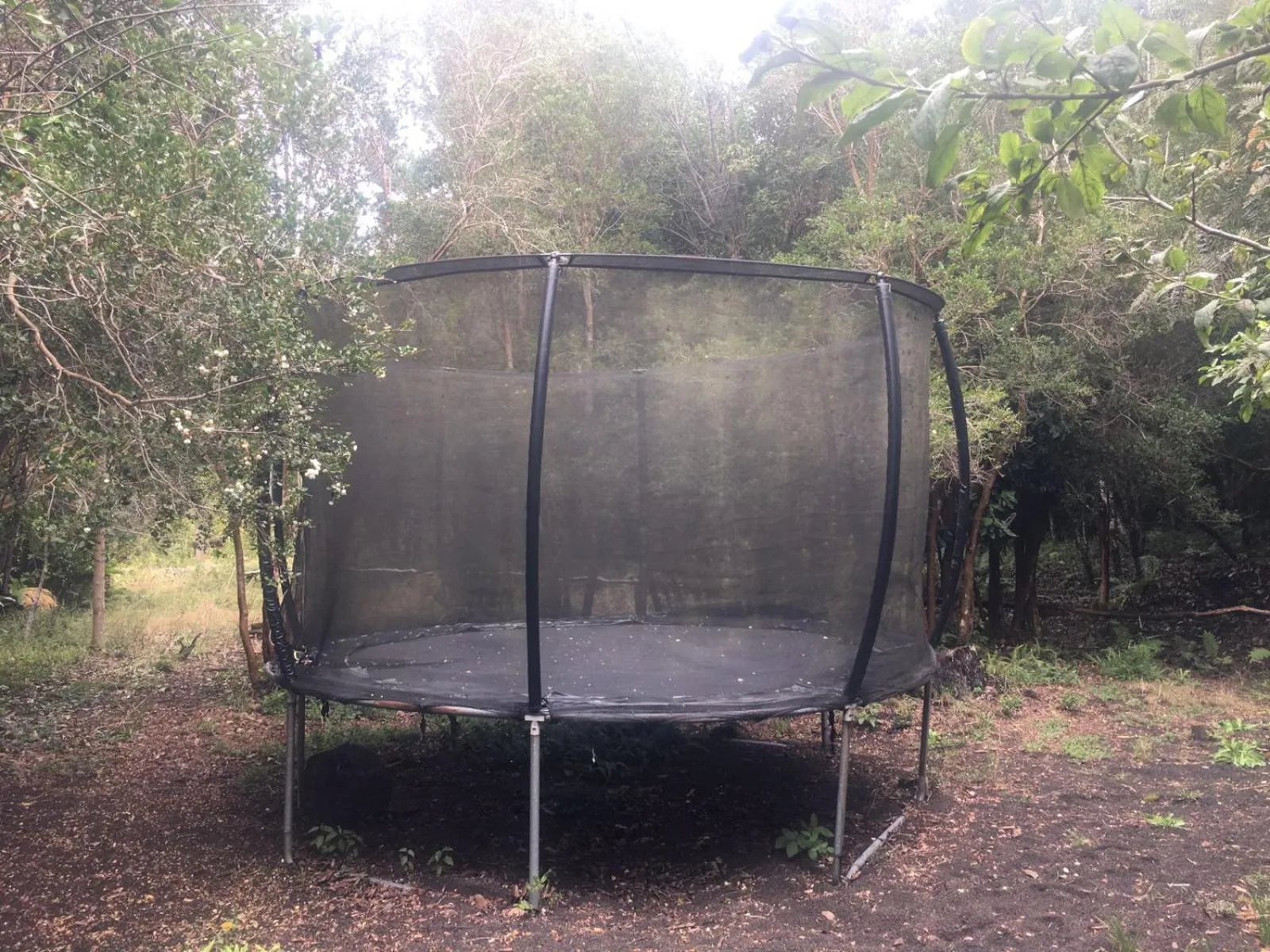 Game Room in Cabañas Ensenada Bosque Nativo