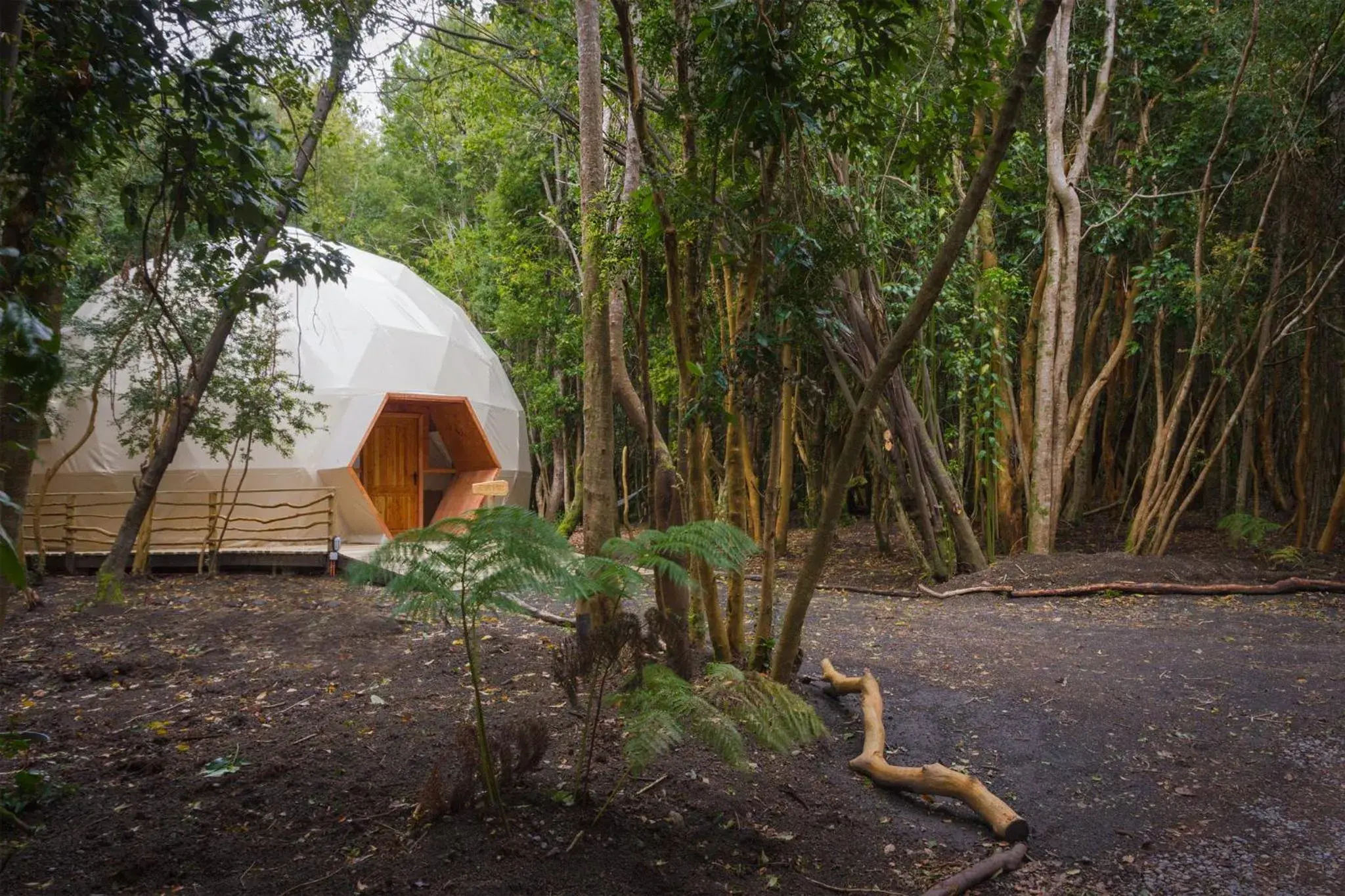 Photo of the whole room in Cabañas Ensenada Bosque Nativo Photo of the whole room in Cabañas Ensenada Bosque Nativo