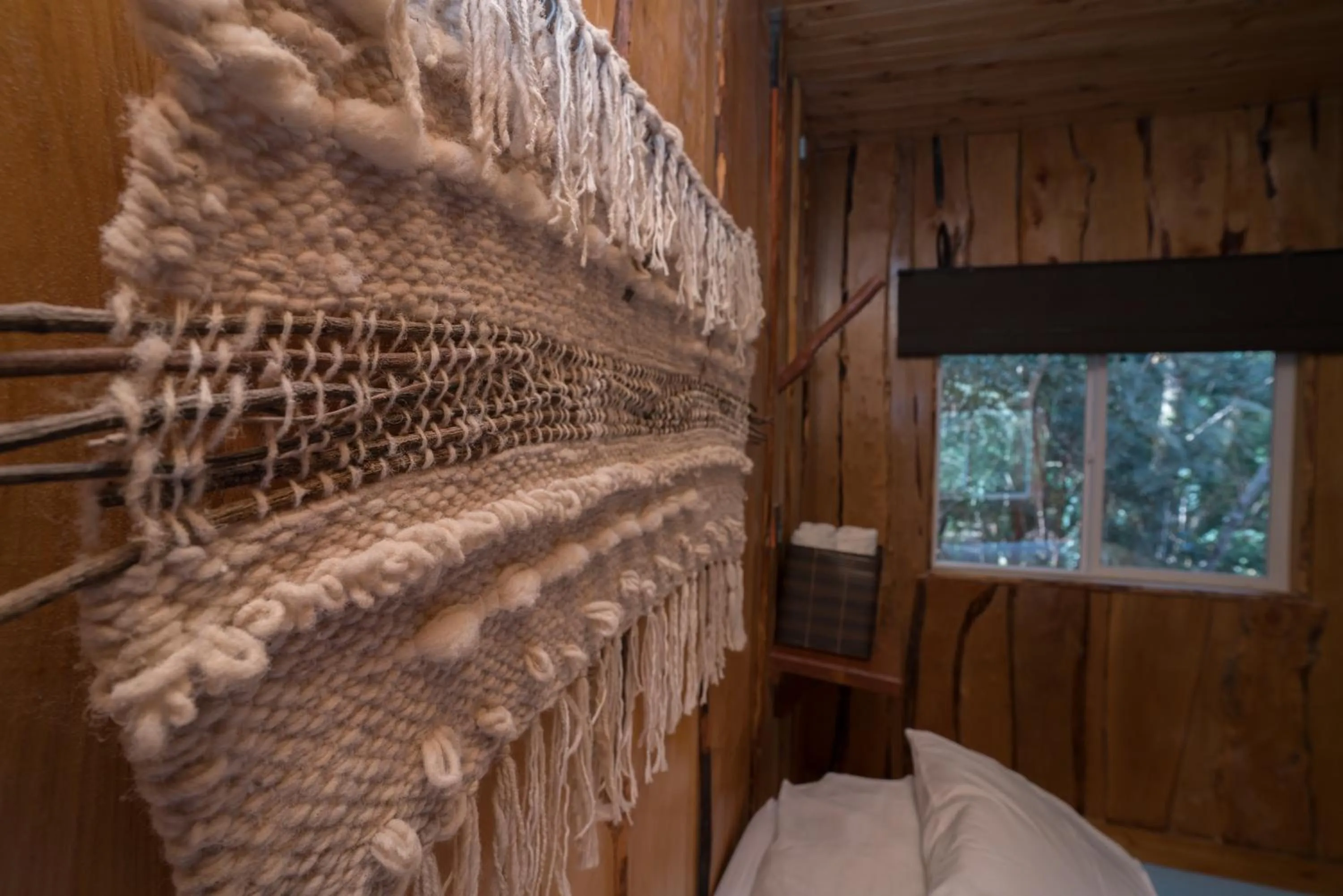 Other in Cabañas Ensenada Bosque Nativo