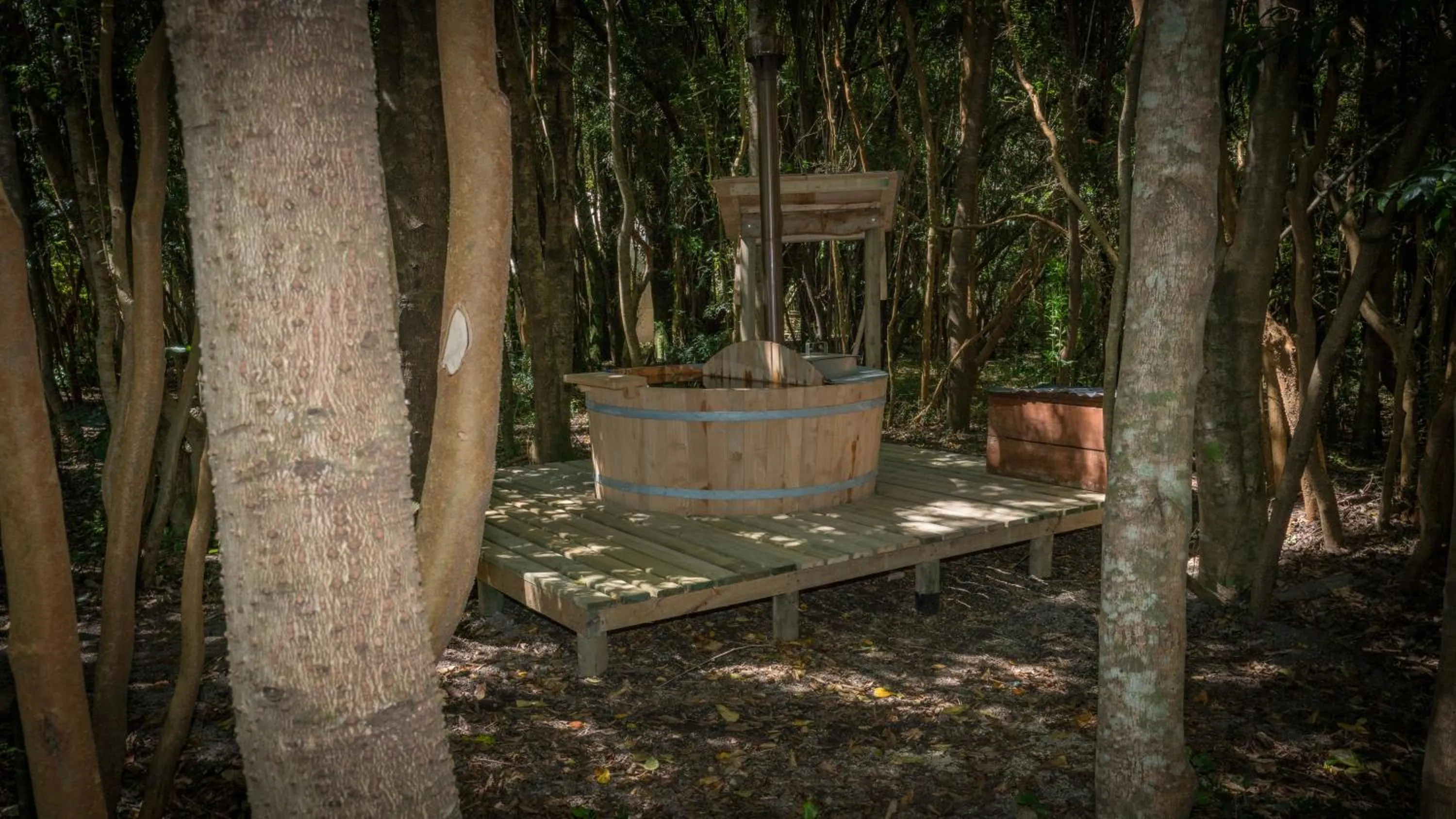 Hot Tub in Cabañas Ensenada Bosque Nativo