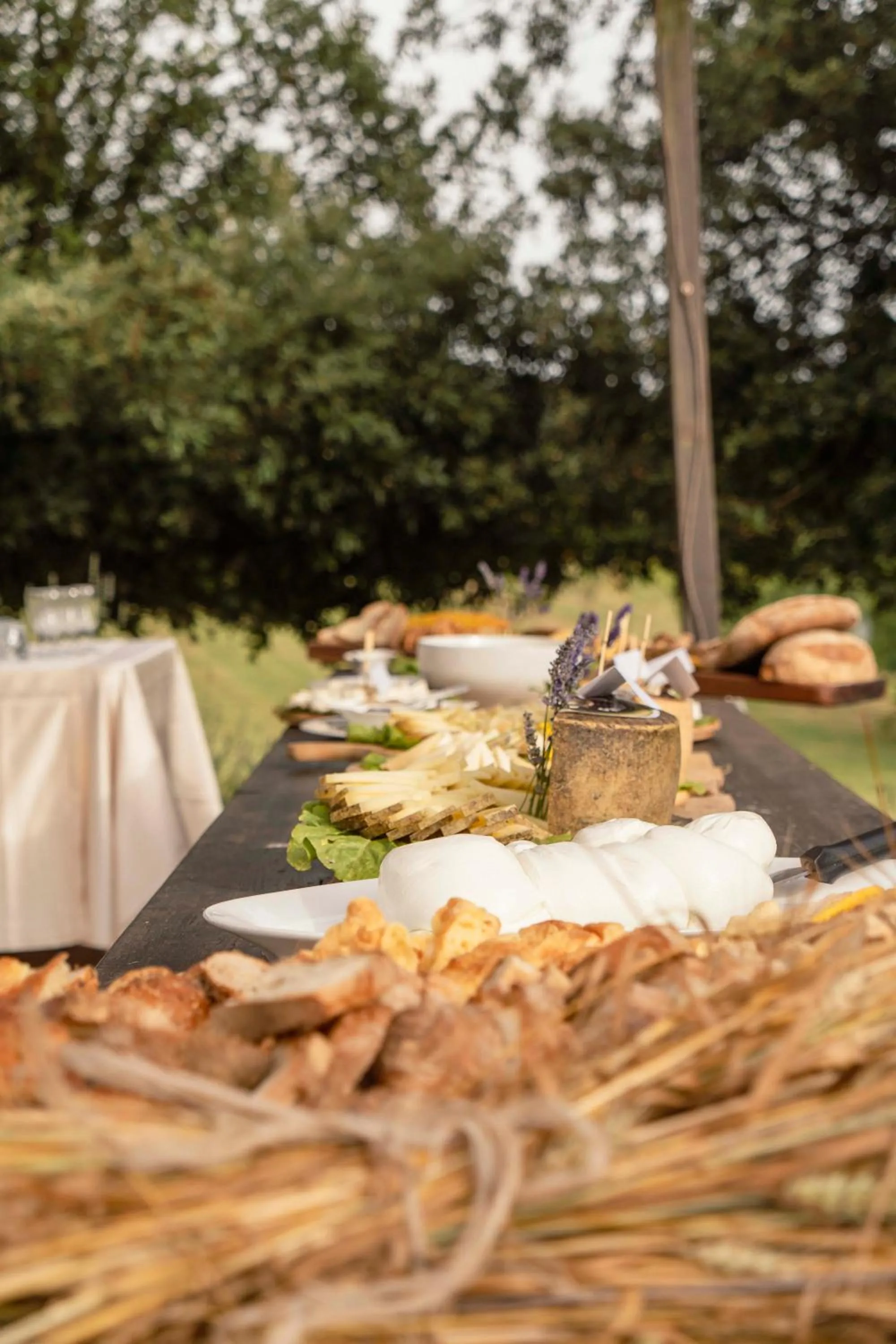 Restaurant/places to eat in Relais Villa D'Assio