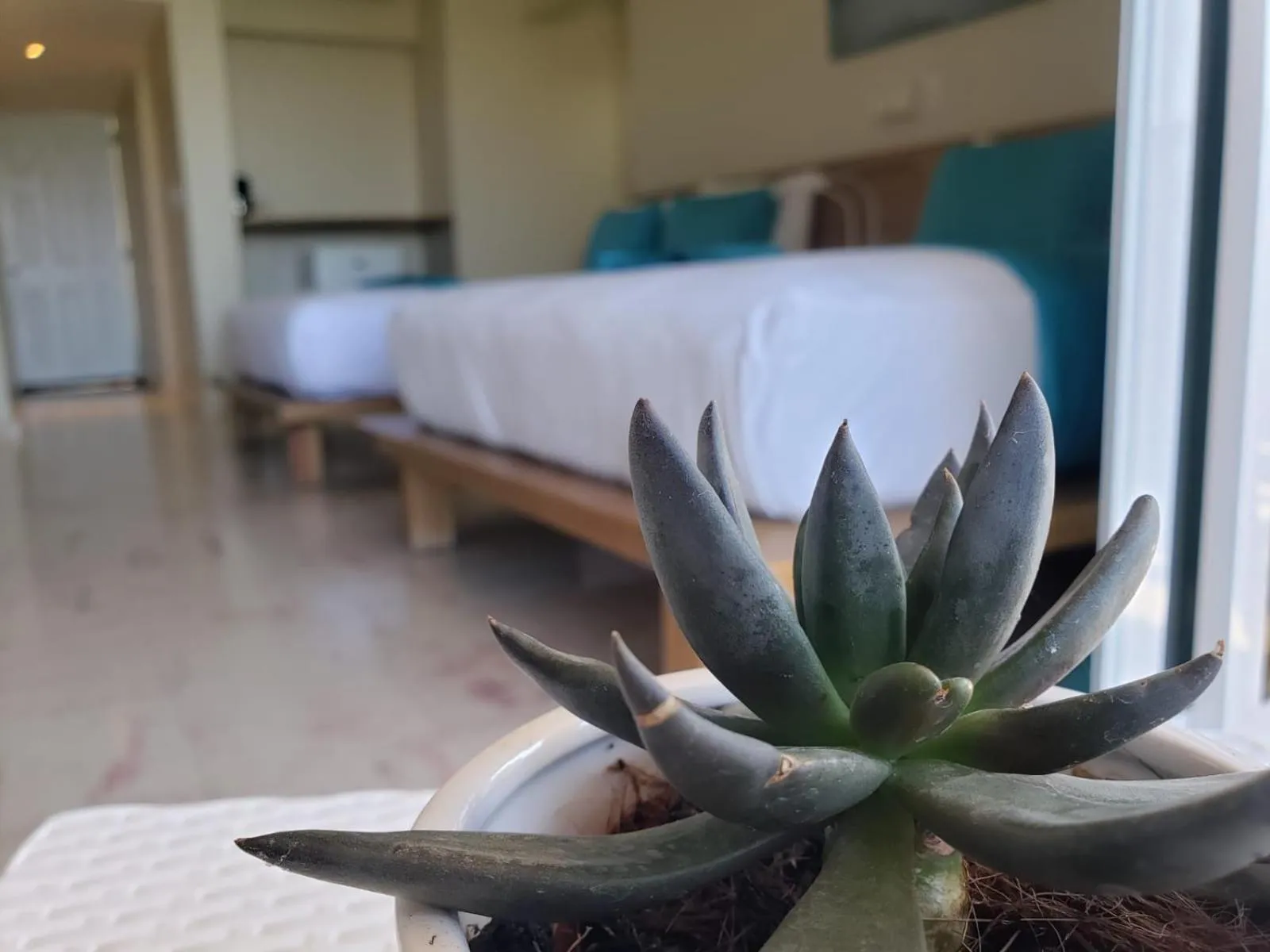 Photo of the whole room, Bed in Paradise Island Beach Resort