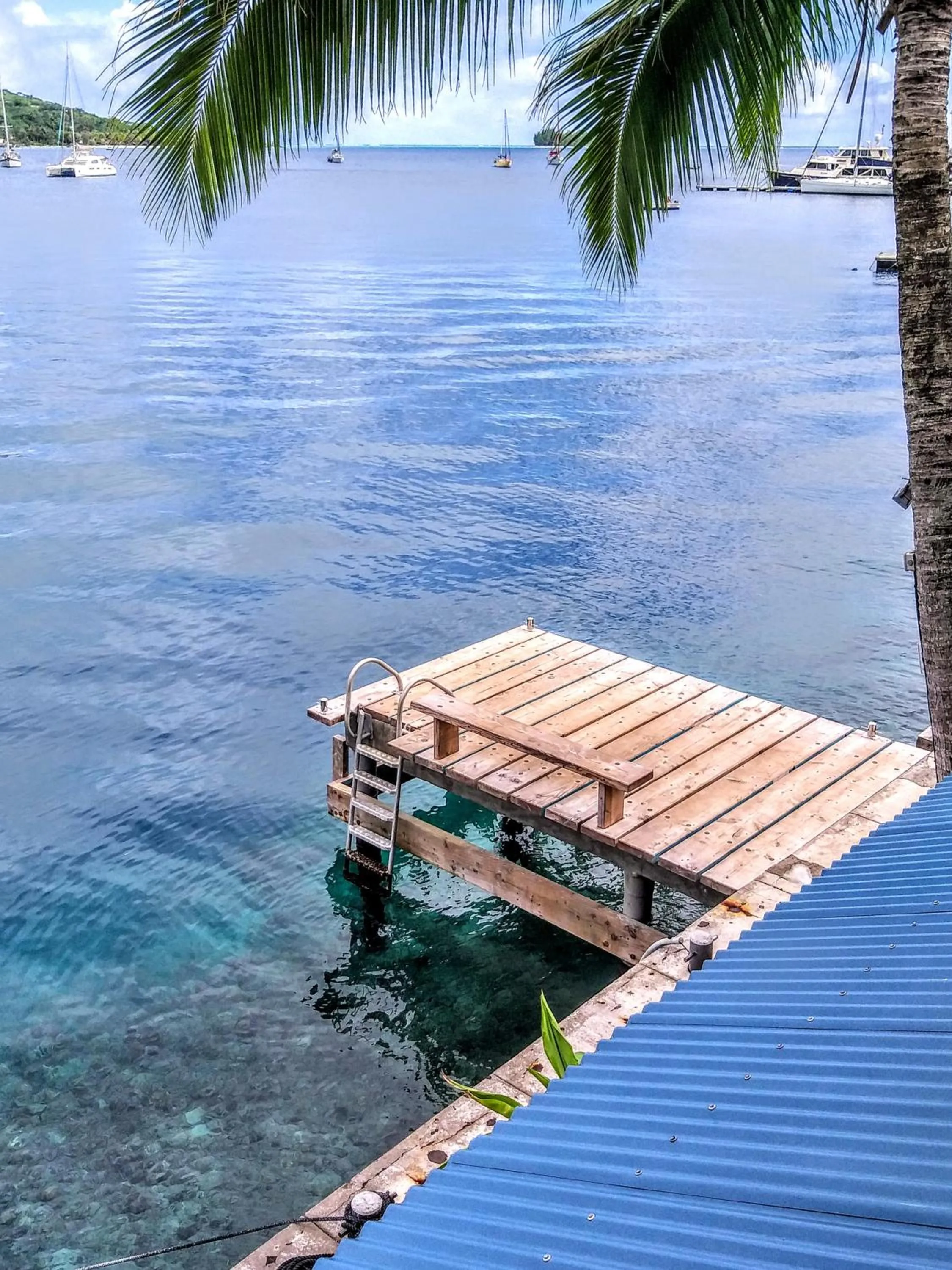 Sea view in Sunset Hill Lodge