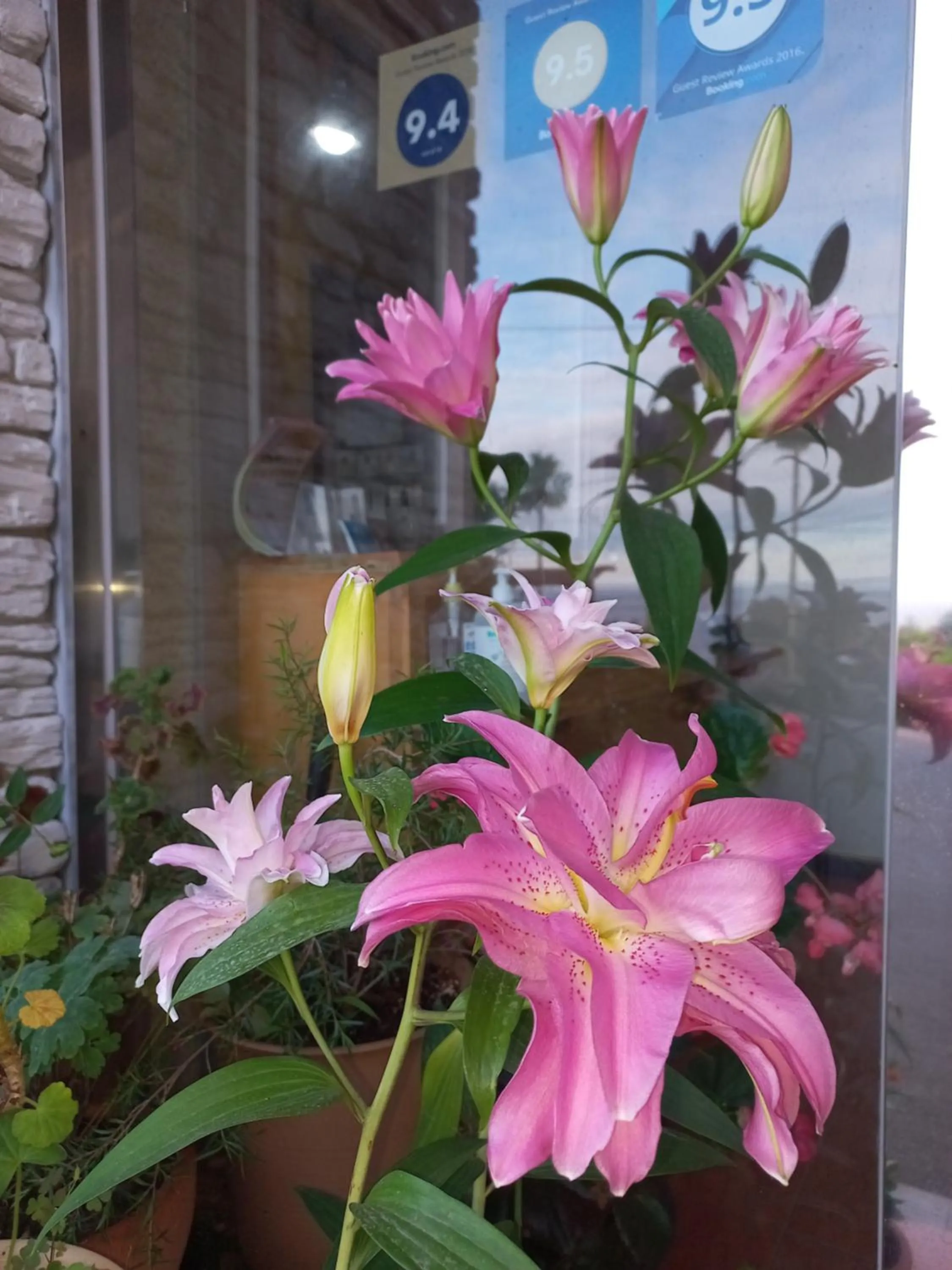 Sea view in Good Day Pension